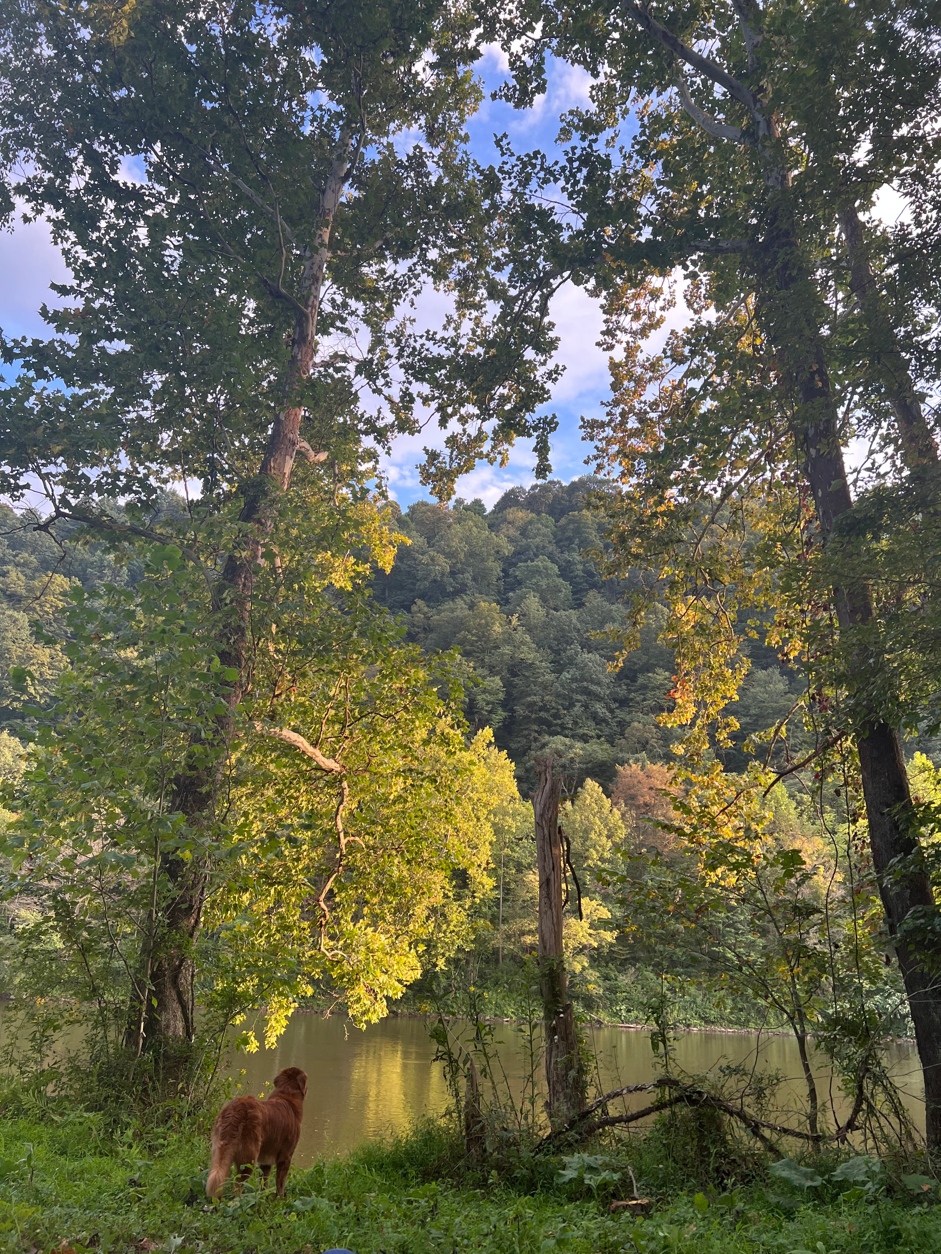 Tent camping along the Yough river.