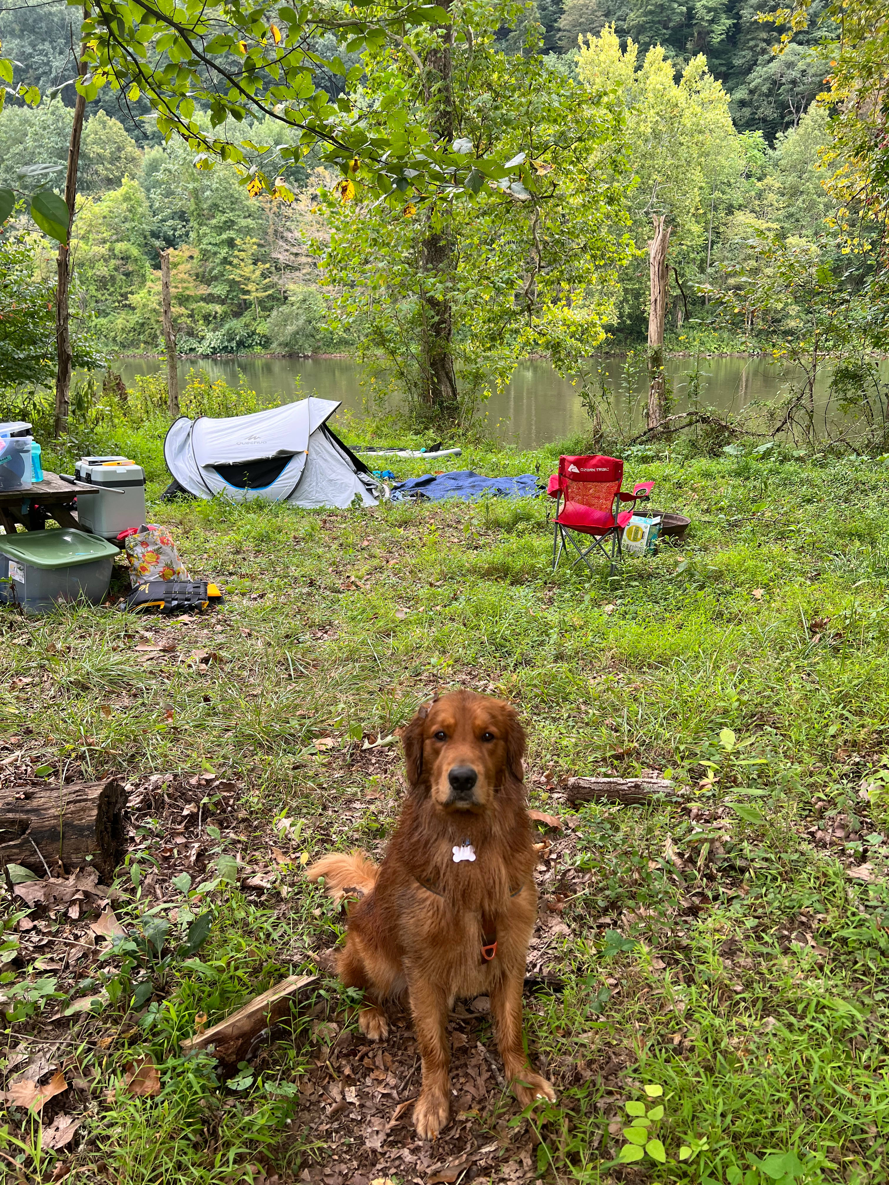 Tent camping along the Yough river.