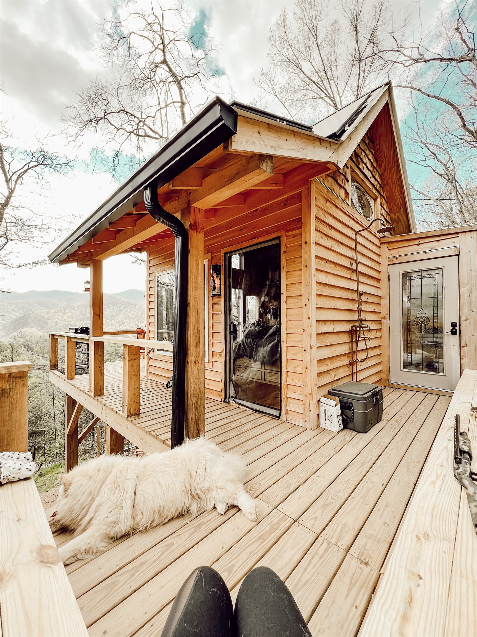 Highland Cow Off-Grid Treehouse