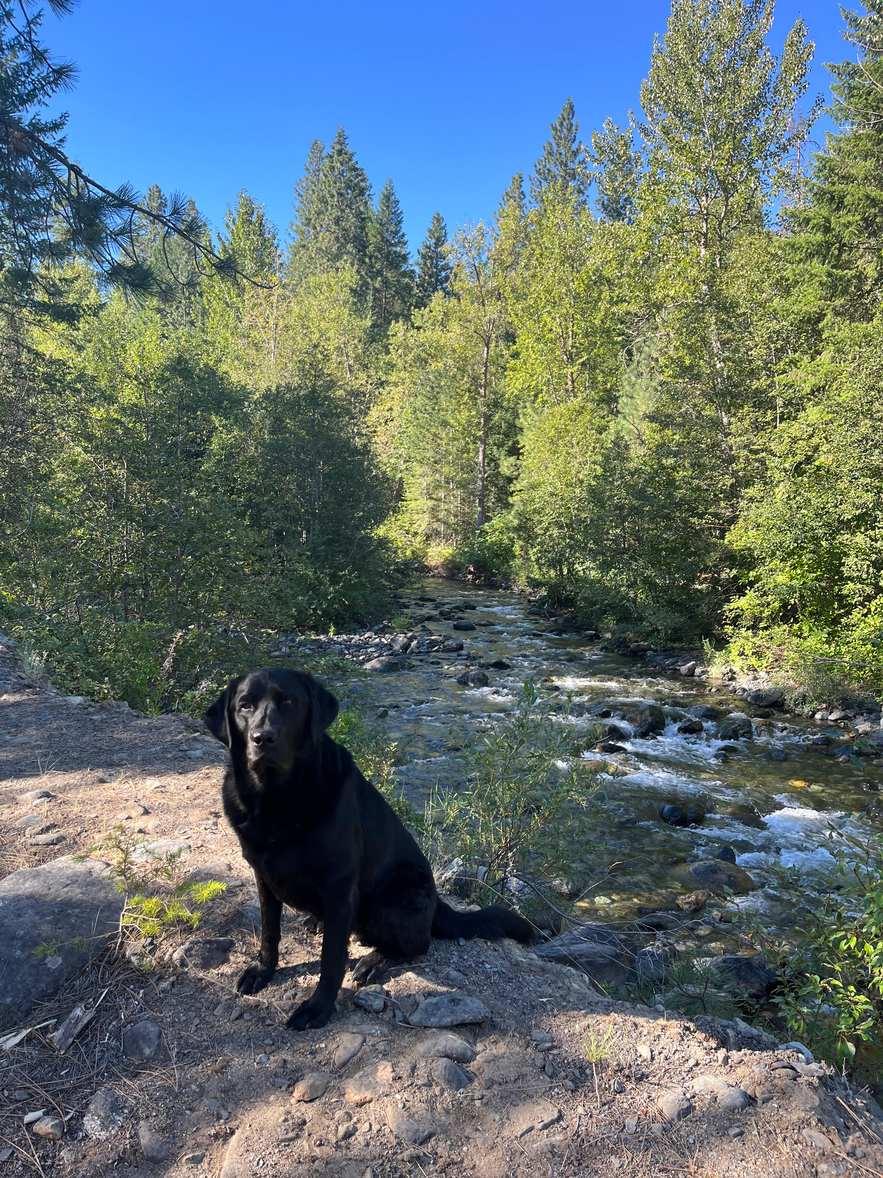 Flussfelsen Campground