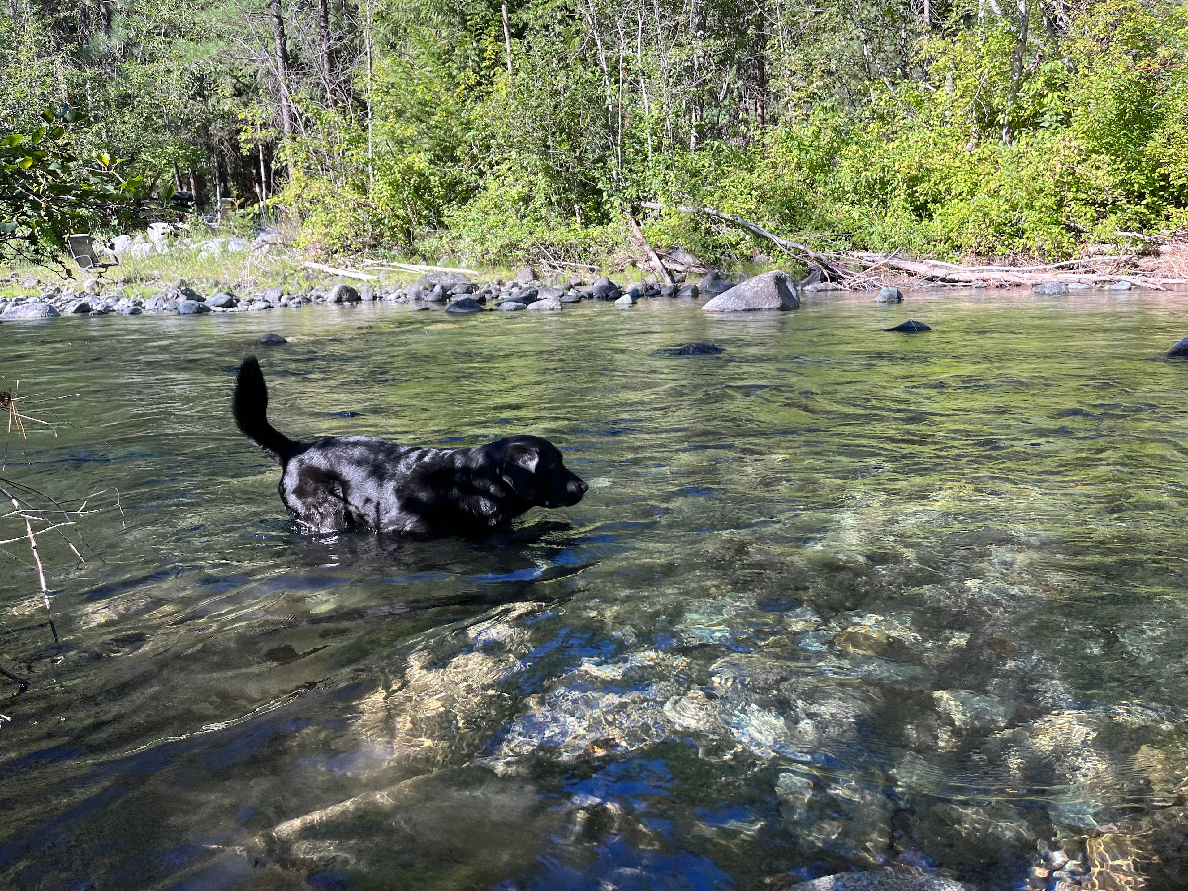 Flussfelsen Campground