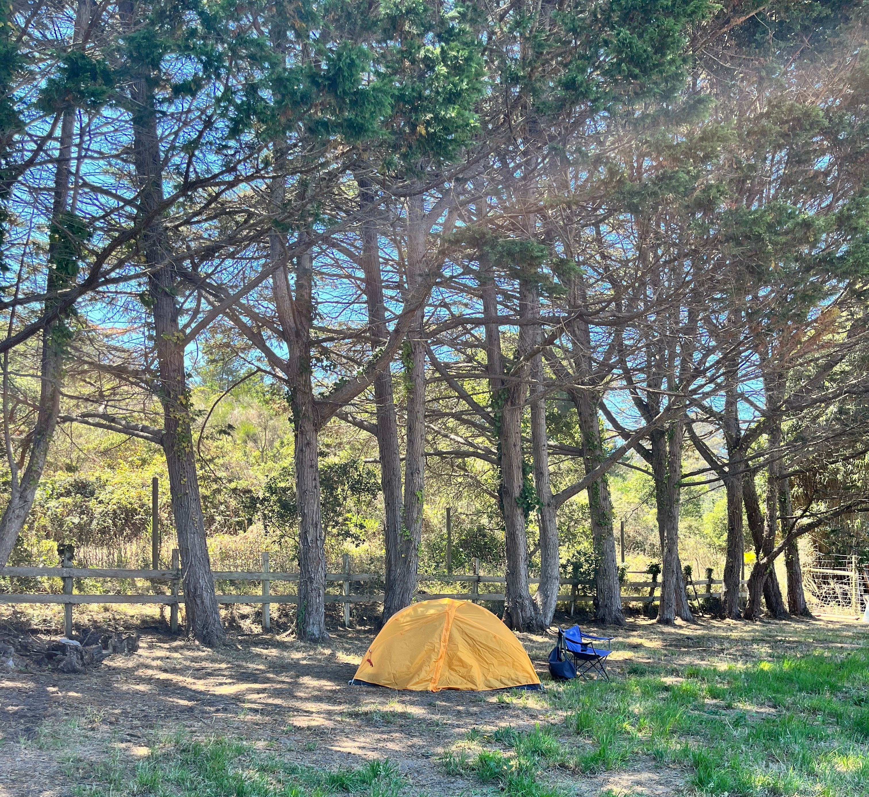 Campsite 1. Late Summer