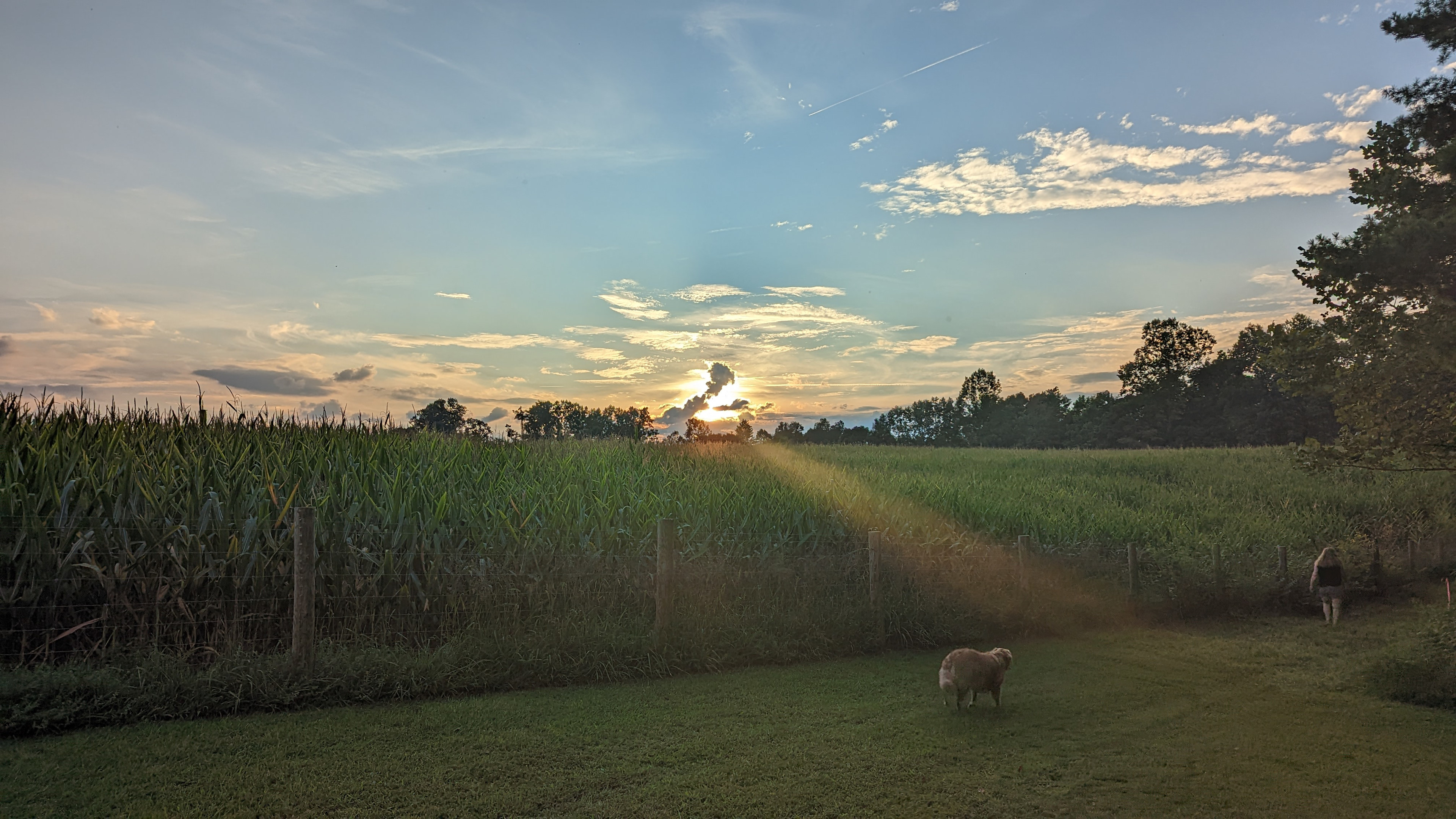Secluded Farm Camp near Damascus VA