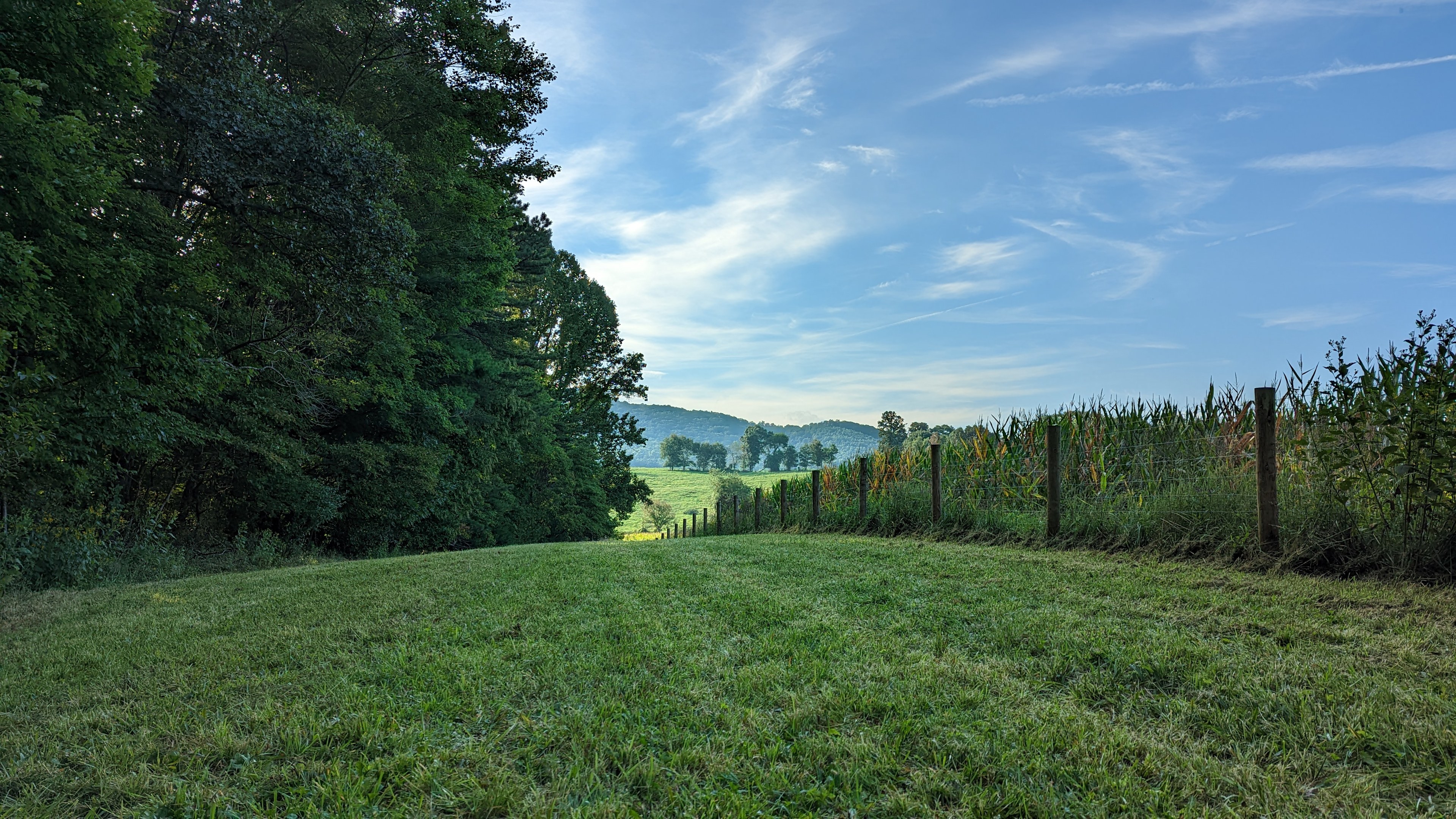 Secluded Farm Camp near Damascus VA