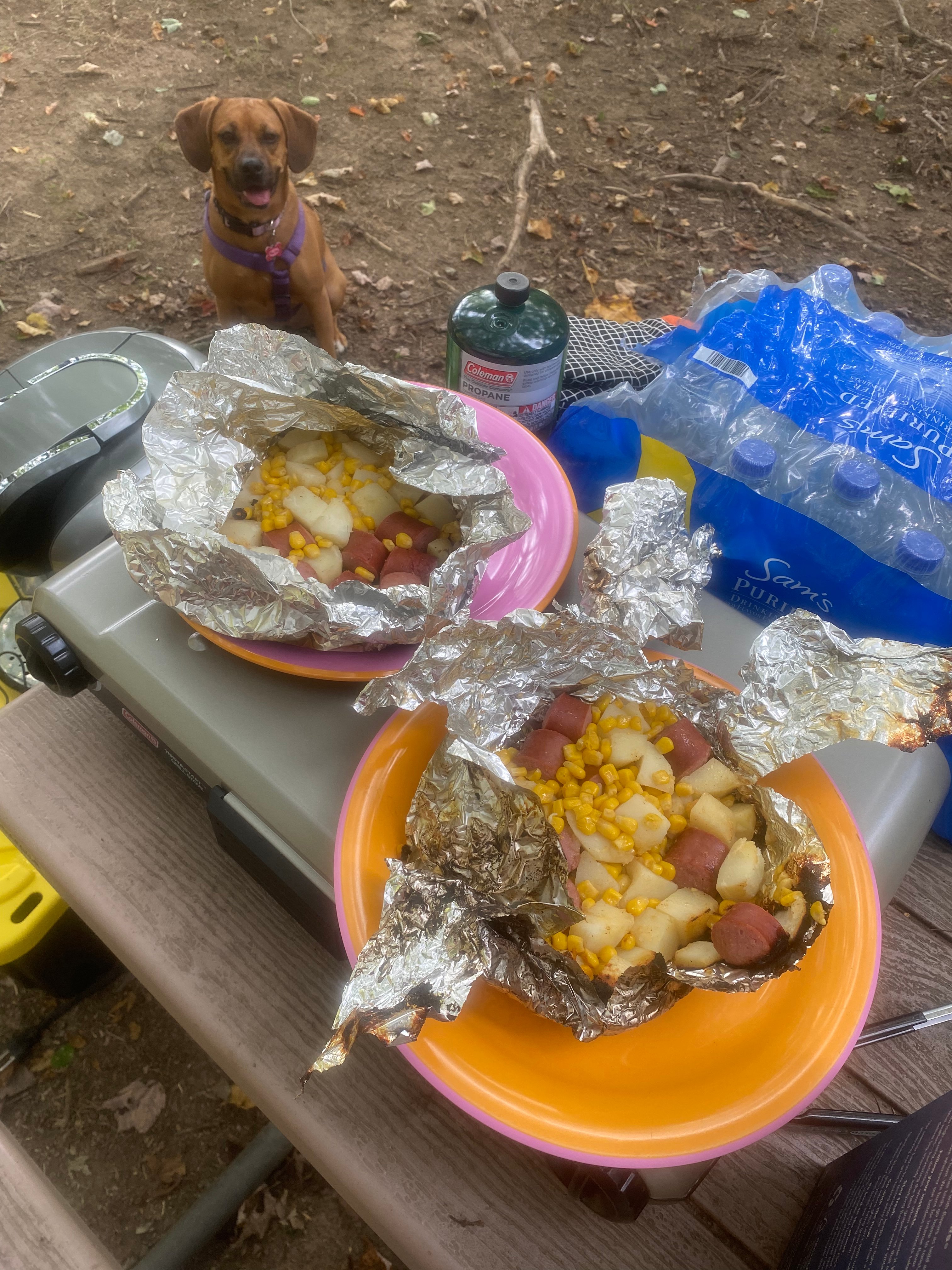 HUNTER'S PARK BY WASHINGTON, DC