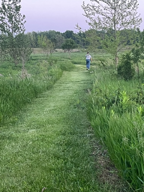 Over 1 Mile of maintained hiking trails through fields, prairie wetland, and woods.