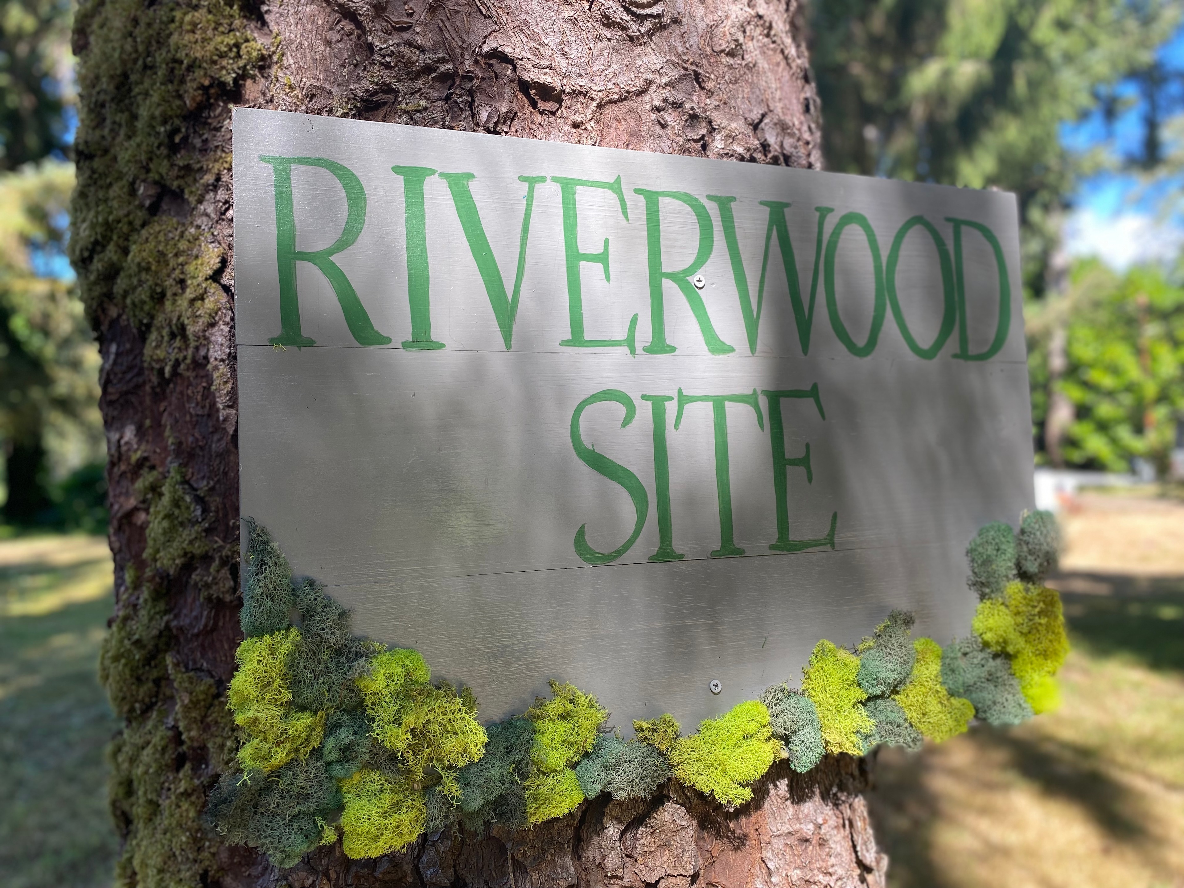 Our site about 100’ away from the river, underneath large spruce trees we call Riverwood site. 
Once reservations are confirmed, we’ll send you a note with which site you’ll be on.