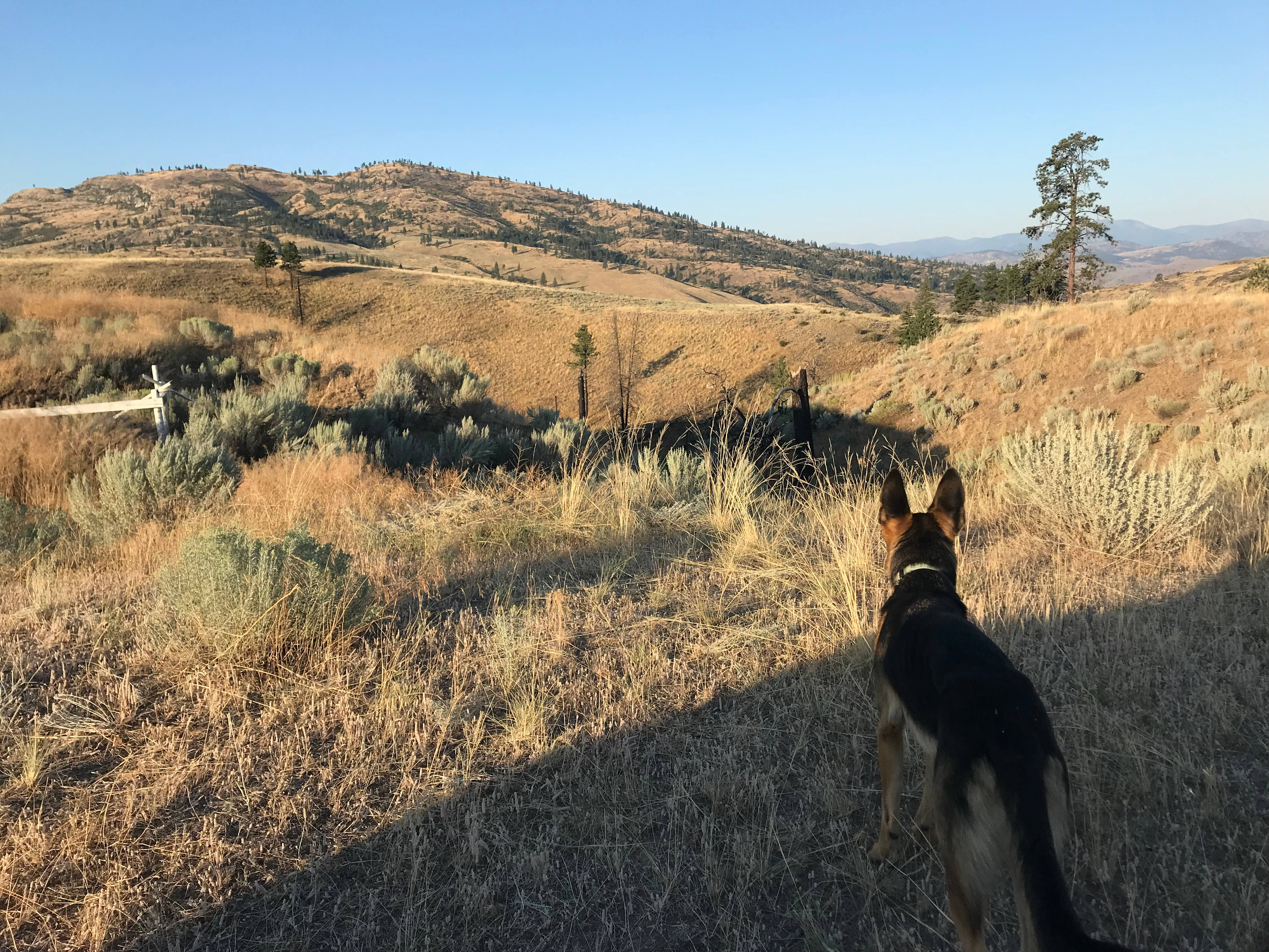 Nico's Nerdy Nursery