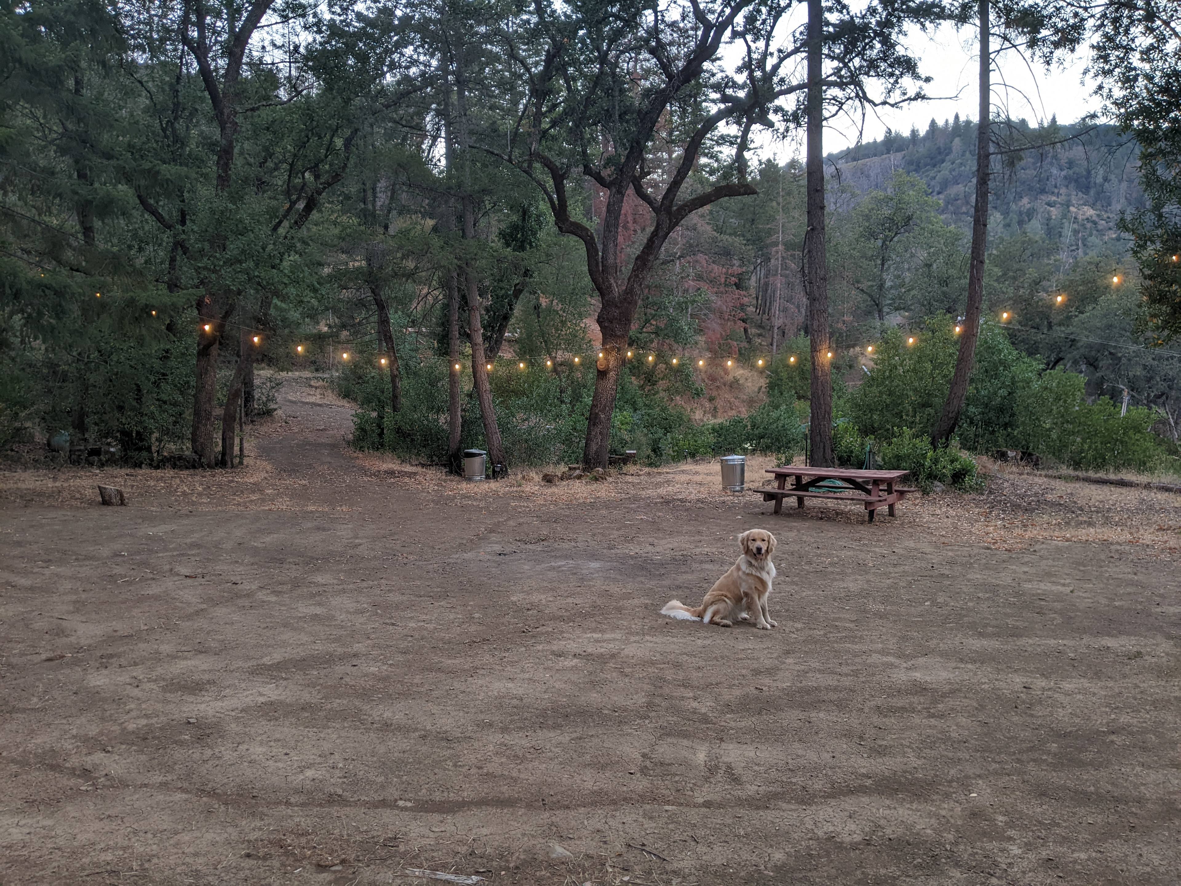 Our Goodwill Ambassador is waiting to greet you