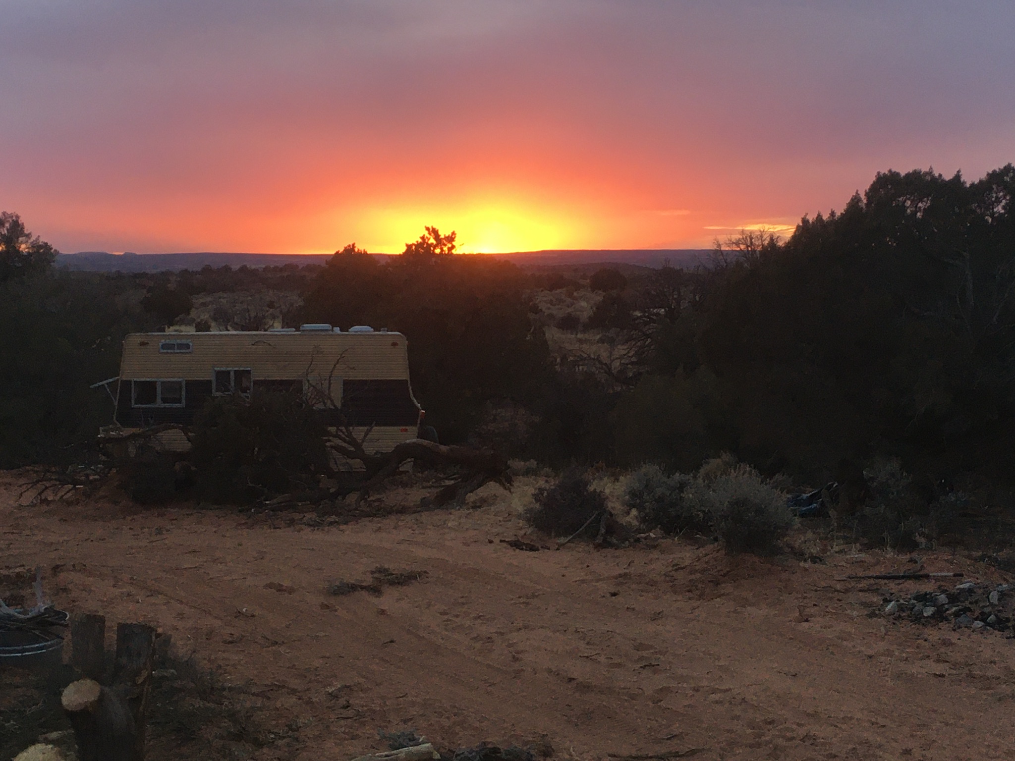 Where The Wild Things Camp