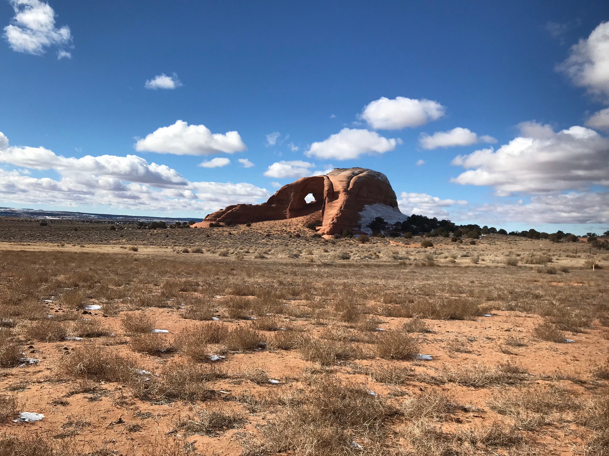 Where The Wild Things Camp