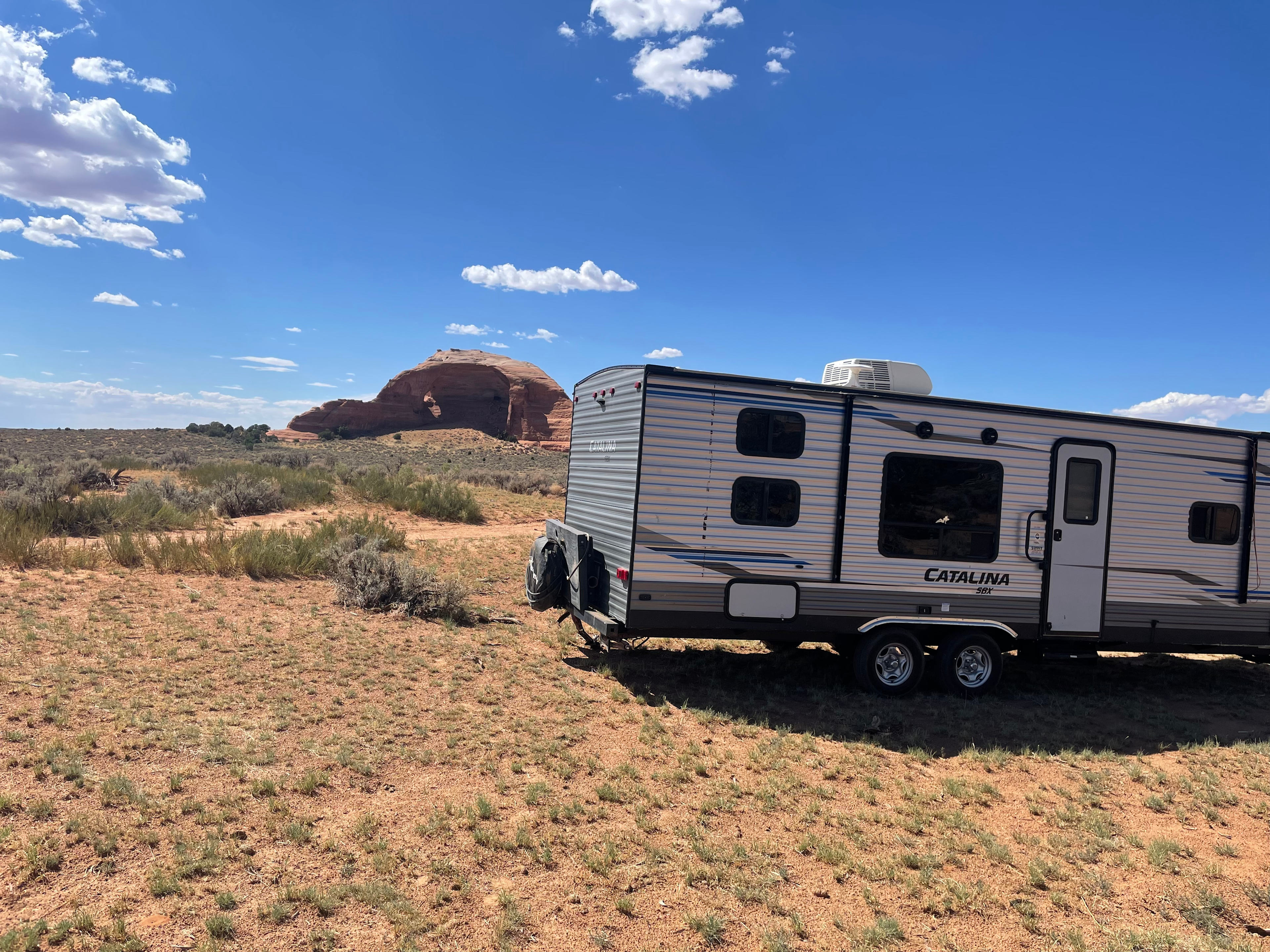 Where The Wild Things Camp