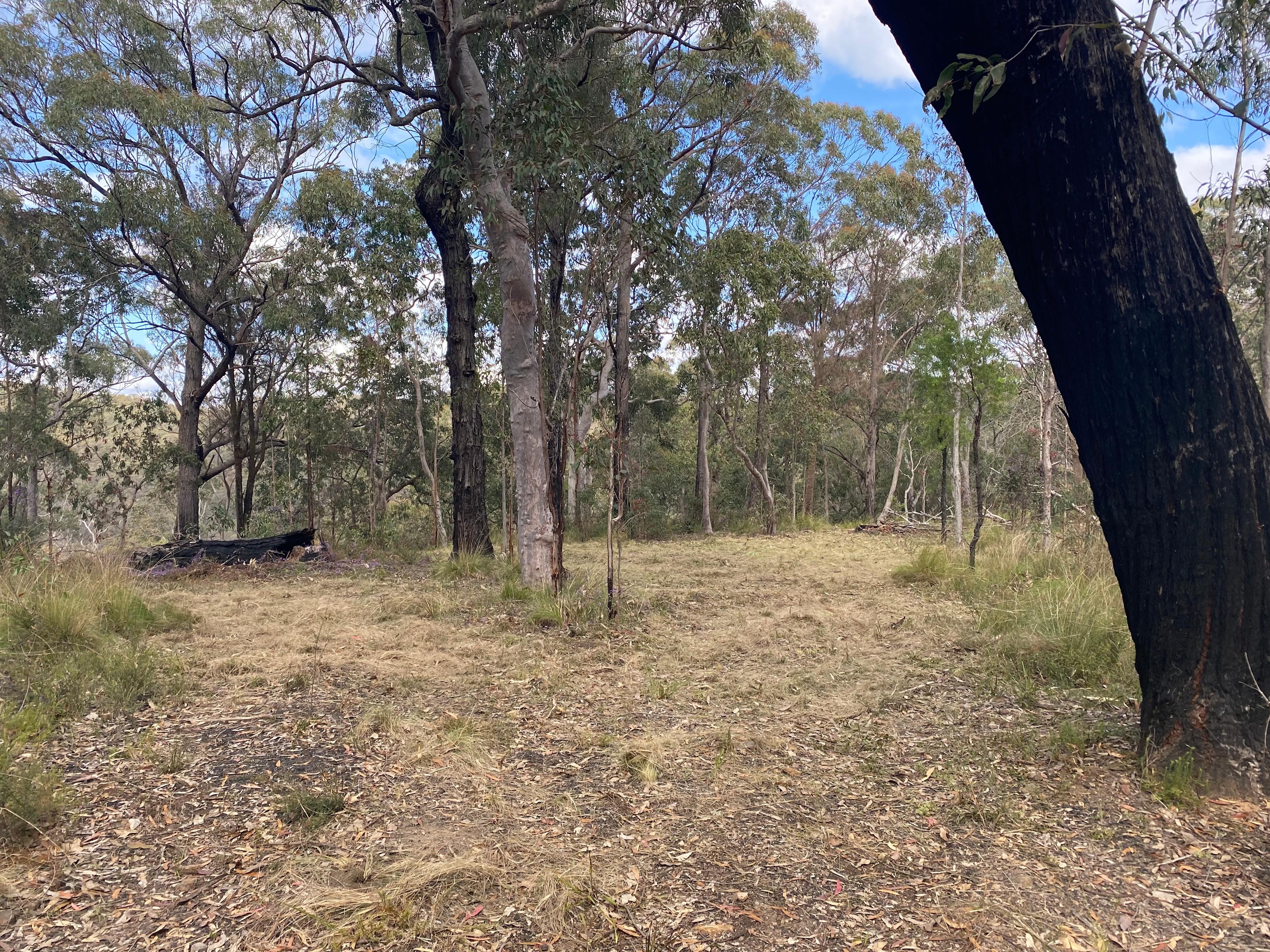 Kamameja Remote Bush Camp