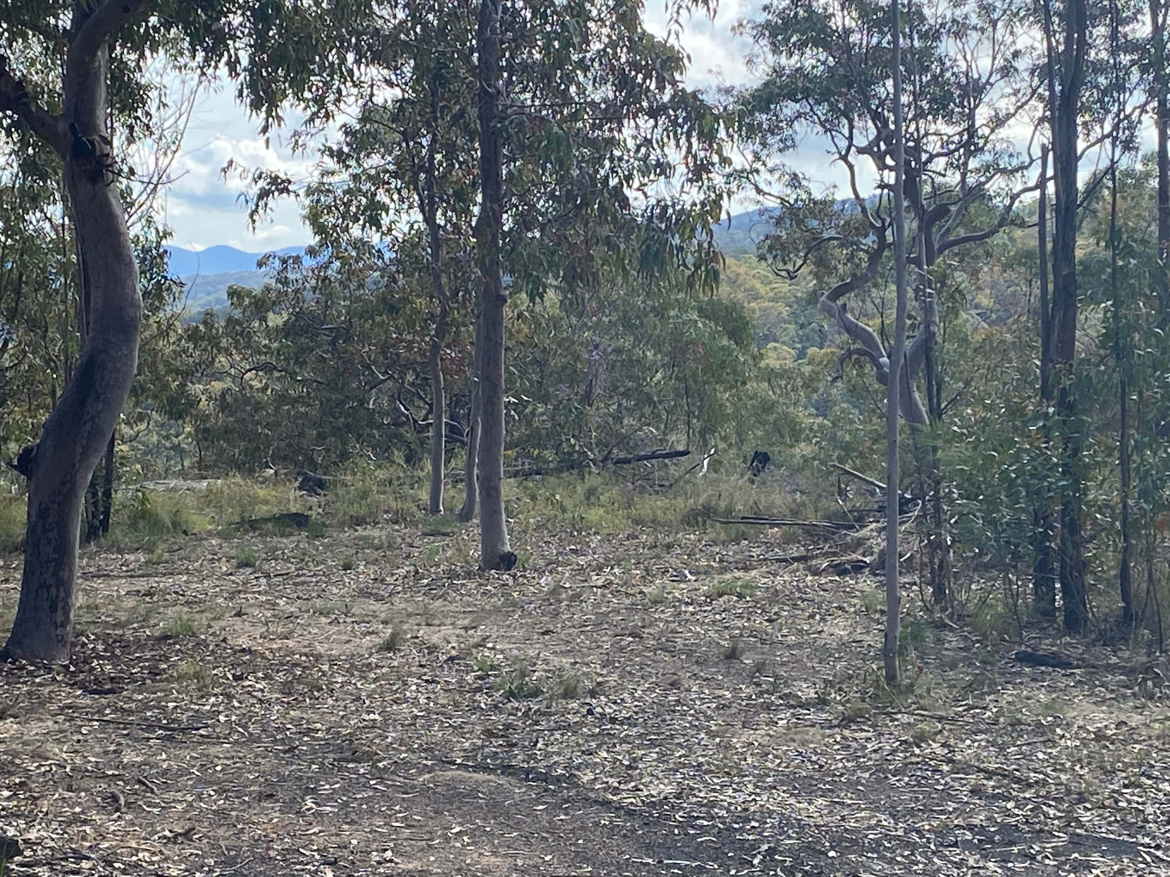 Kamameja Remote Bush Camp