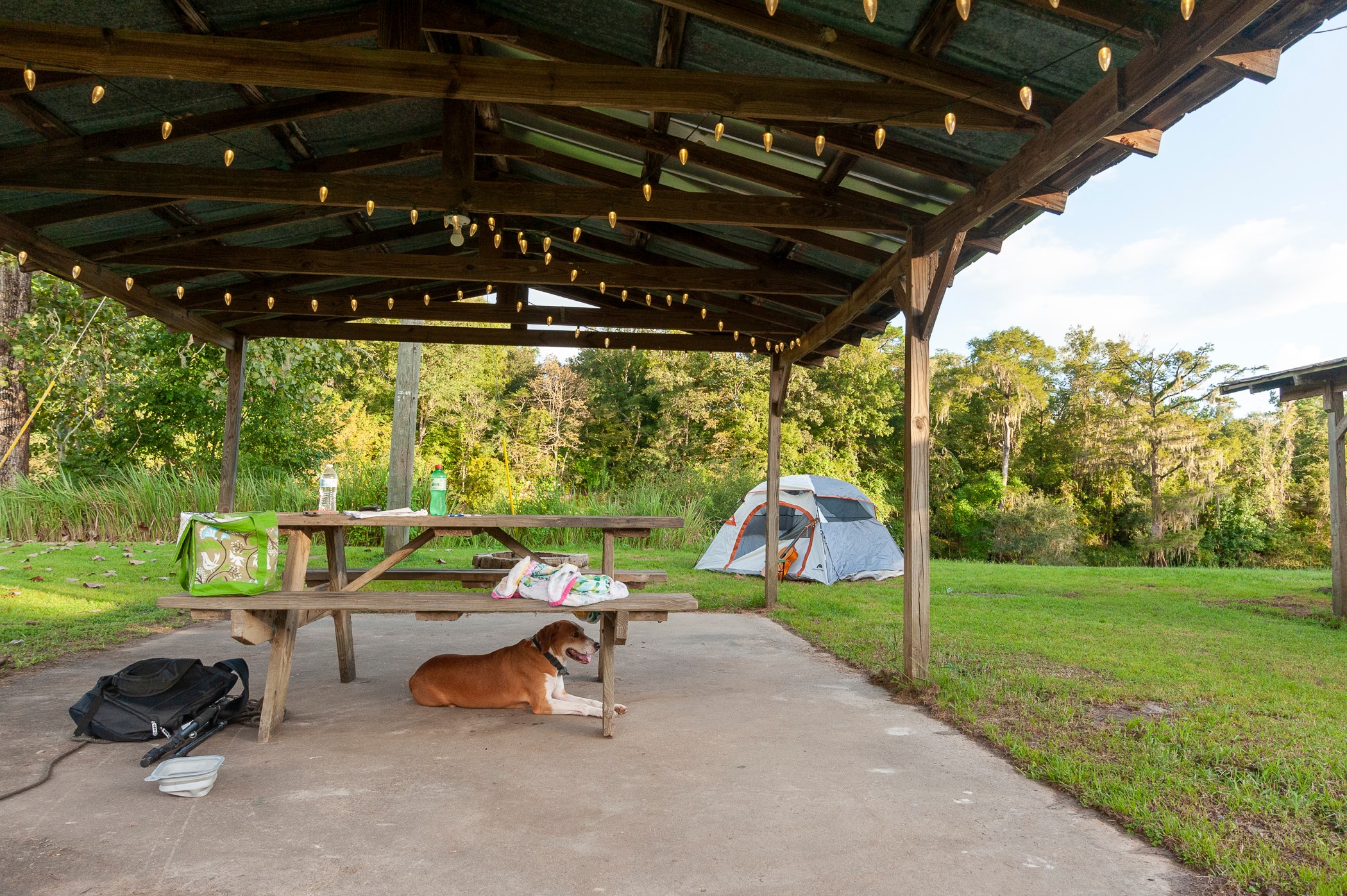 Ed and Bernices Fish camp