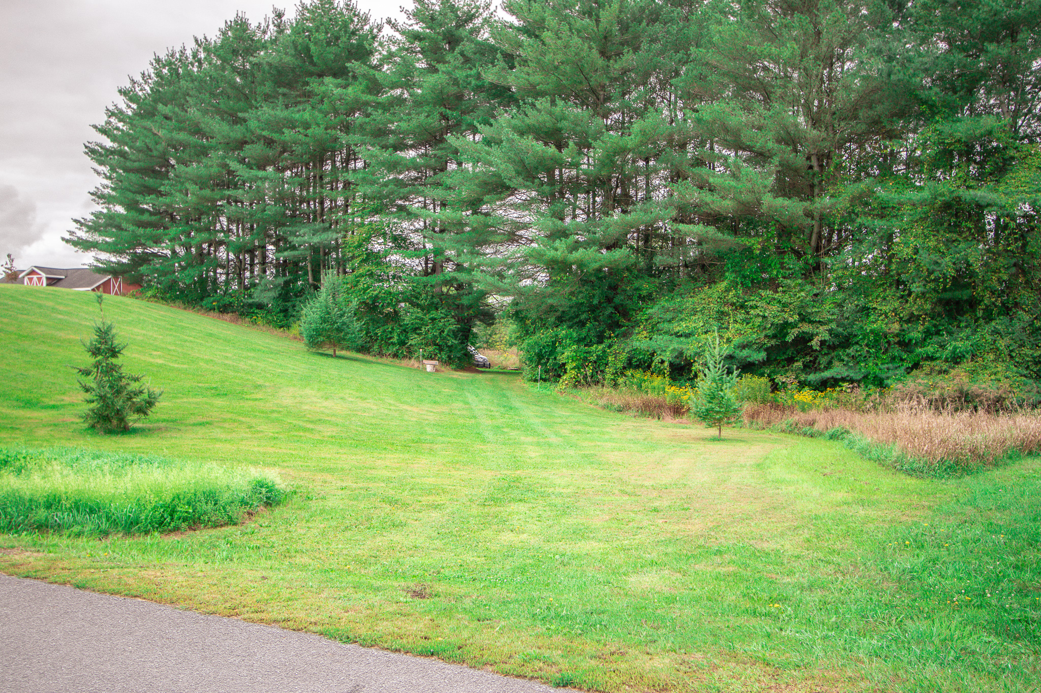 Entrance to the property 