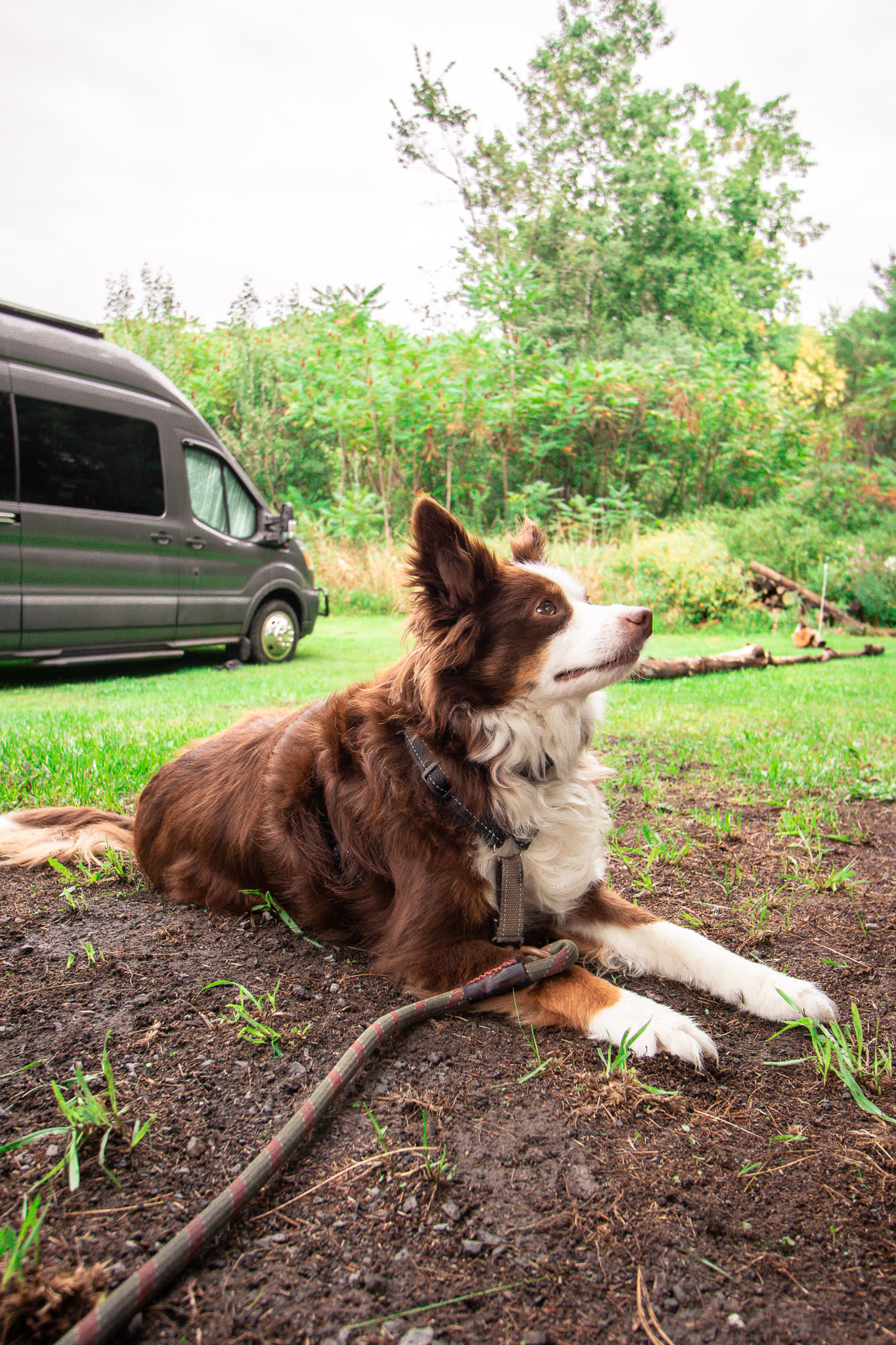 We enjoyed getting to relax with our dog