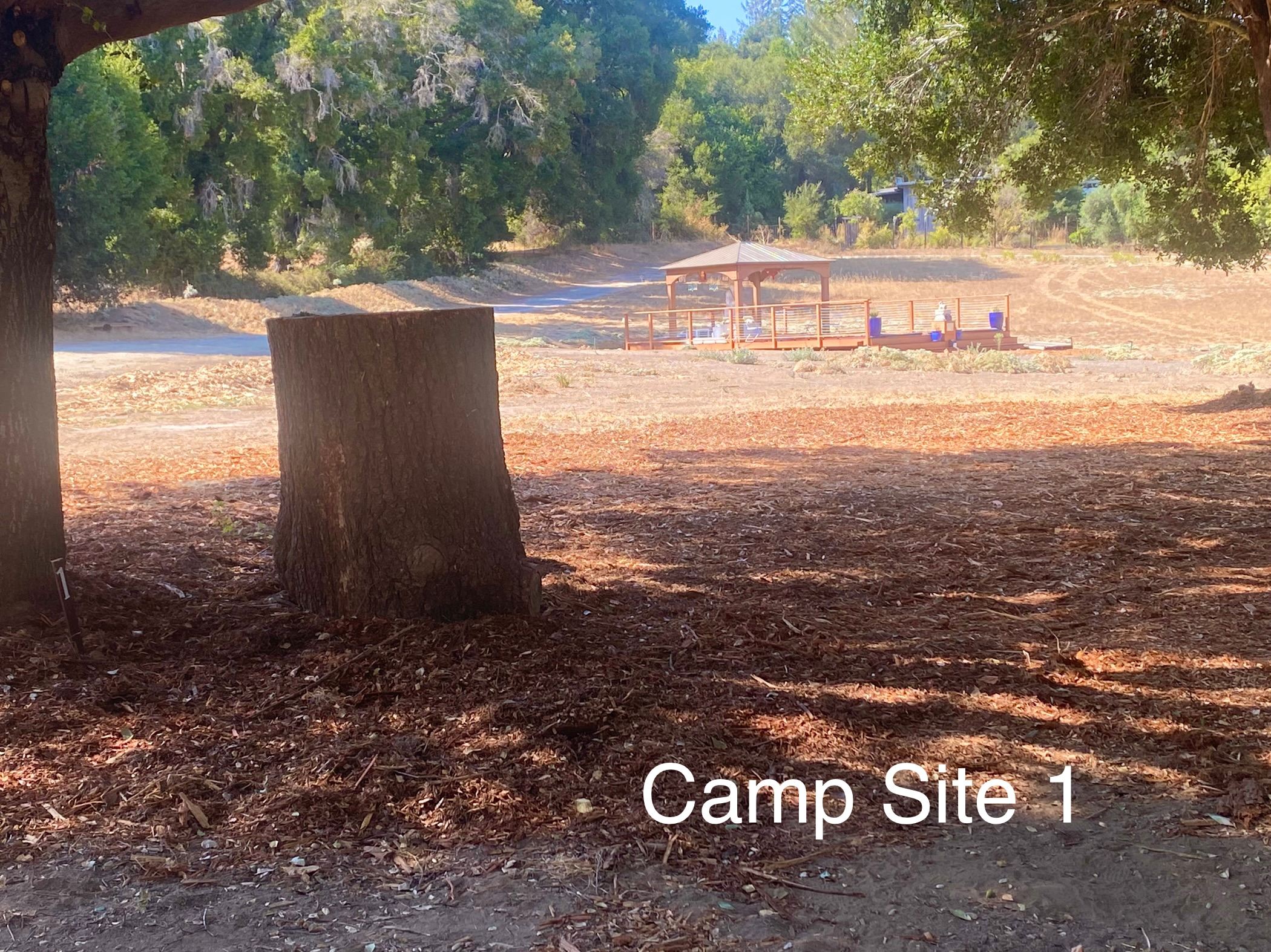 Felton Open Space Camp Sites