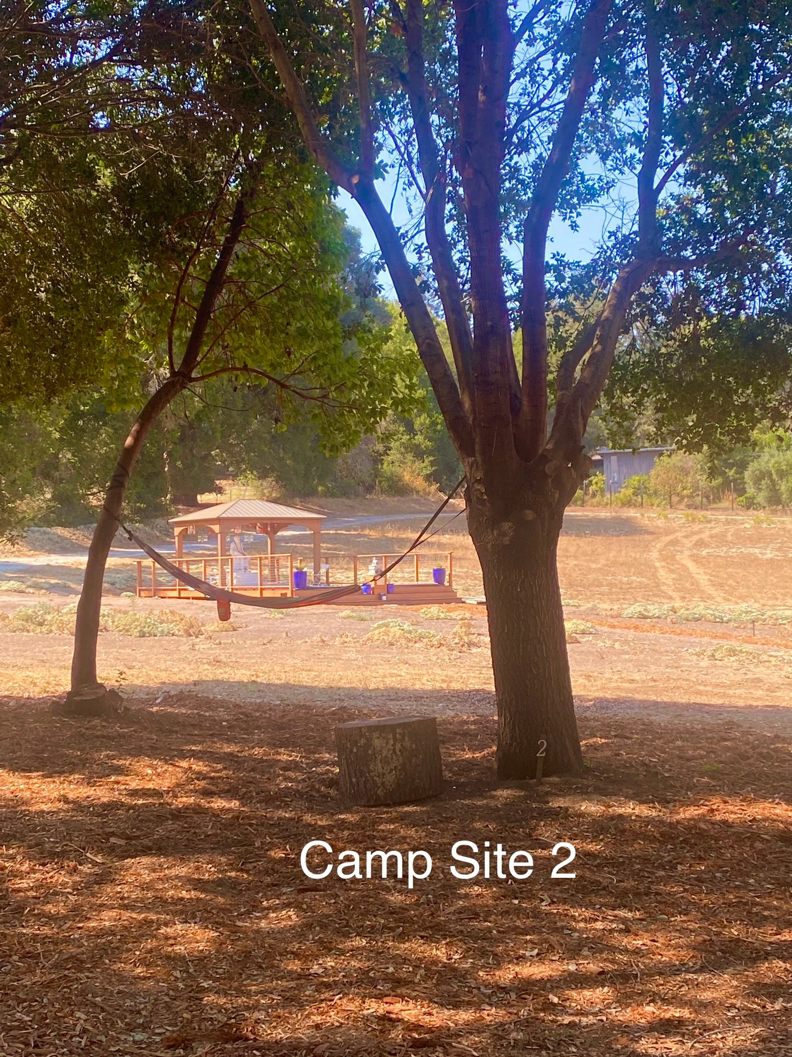 Felton Open Space Camp Sites