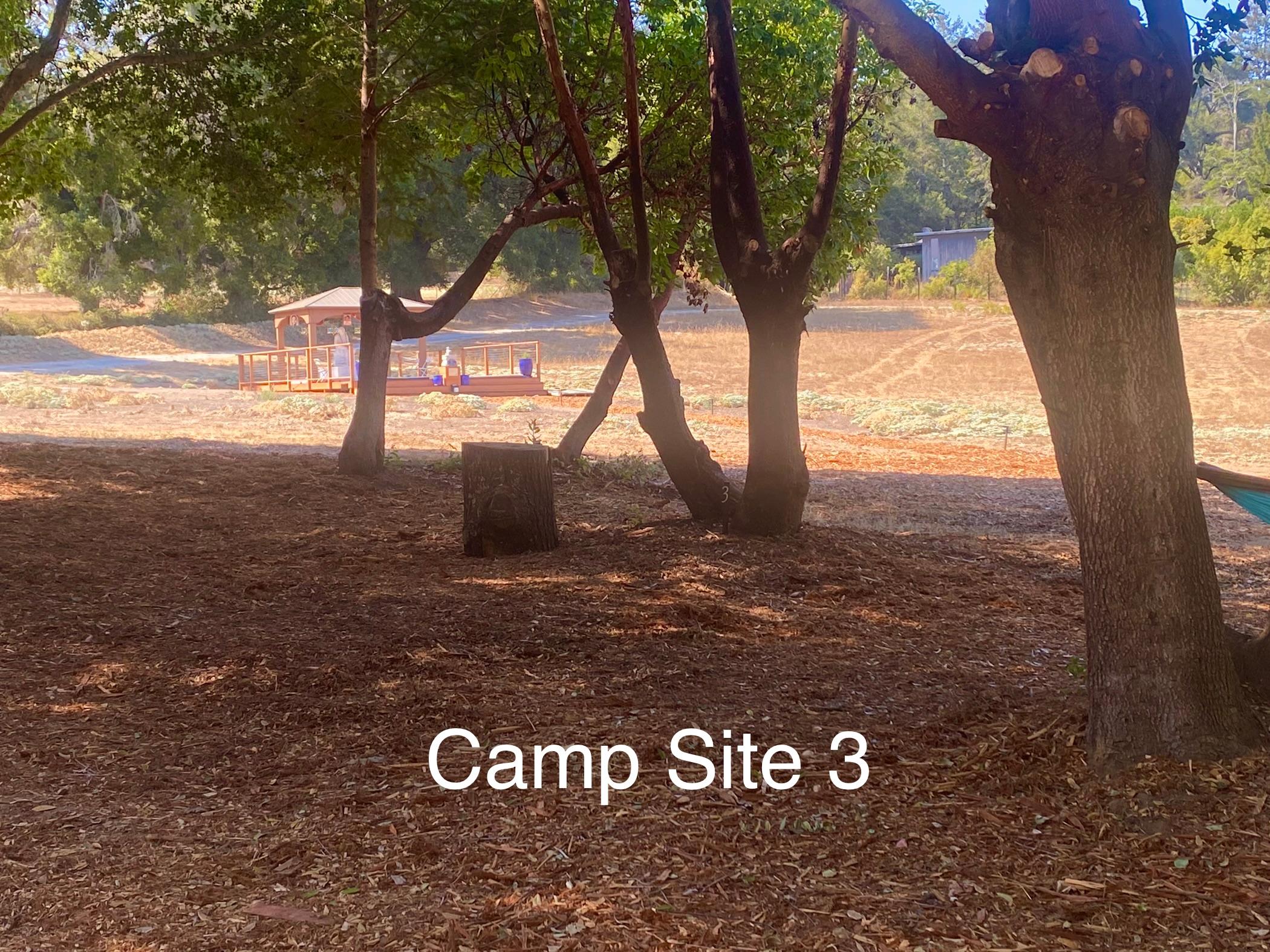 Felton Open Space Camp Sites