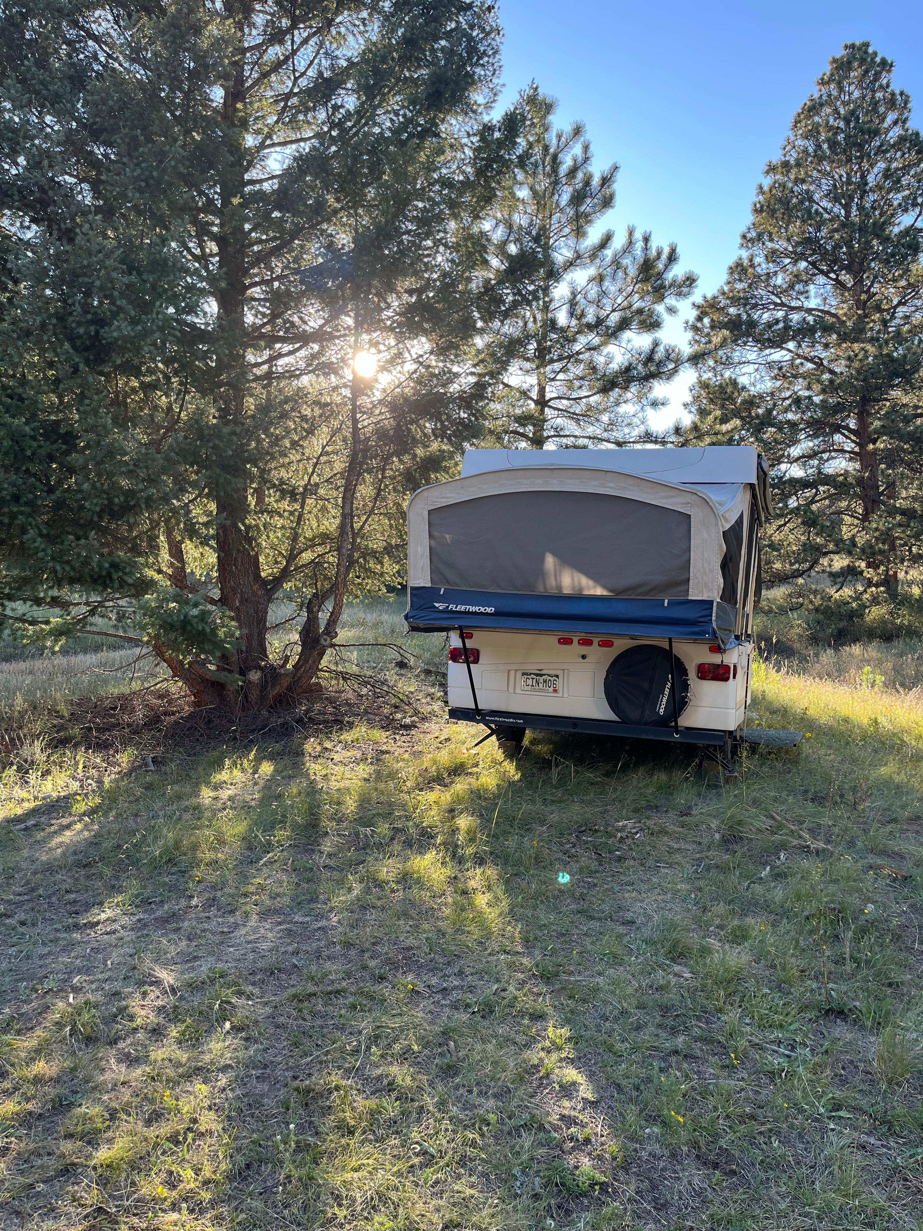 Serenity in the Foothills