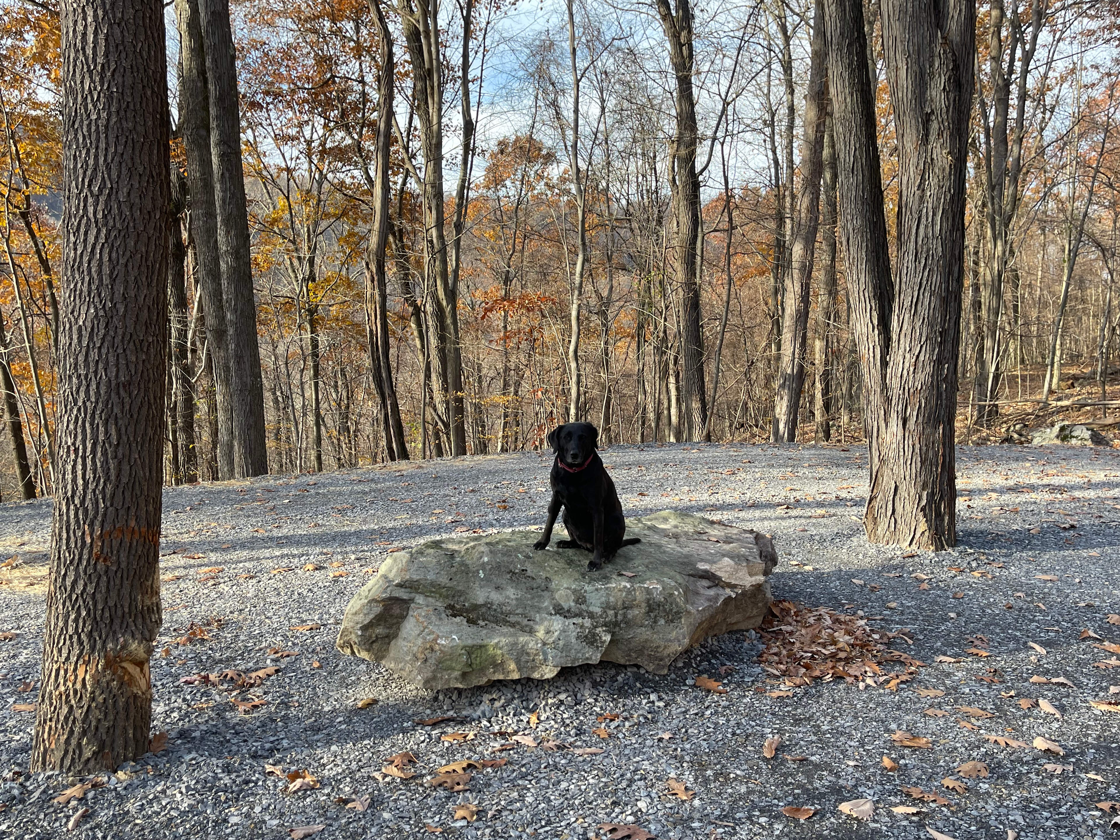 Barnum Cliffs Campground