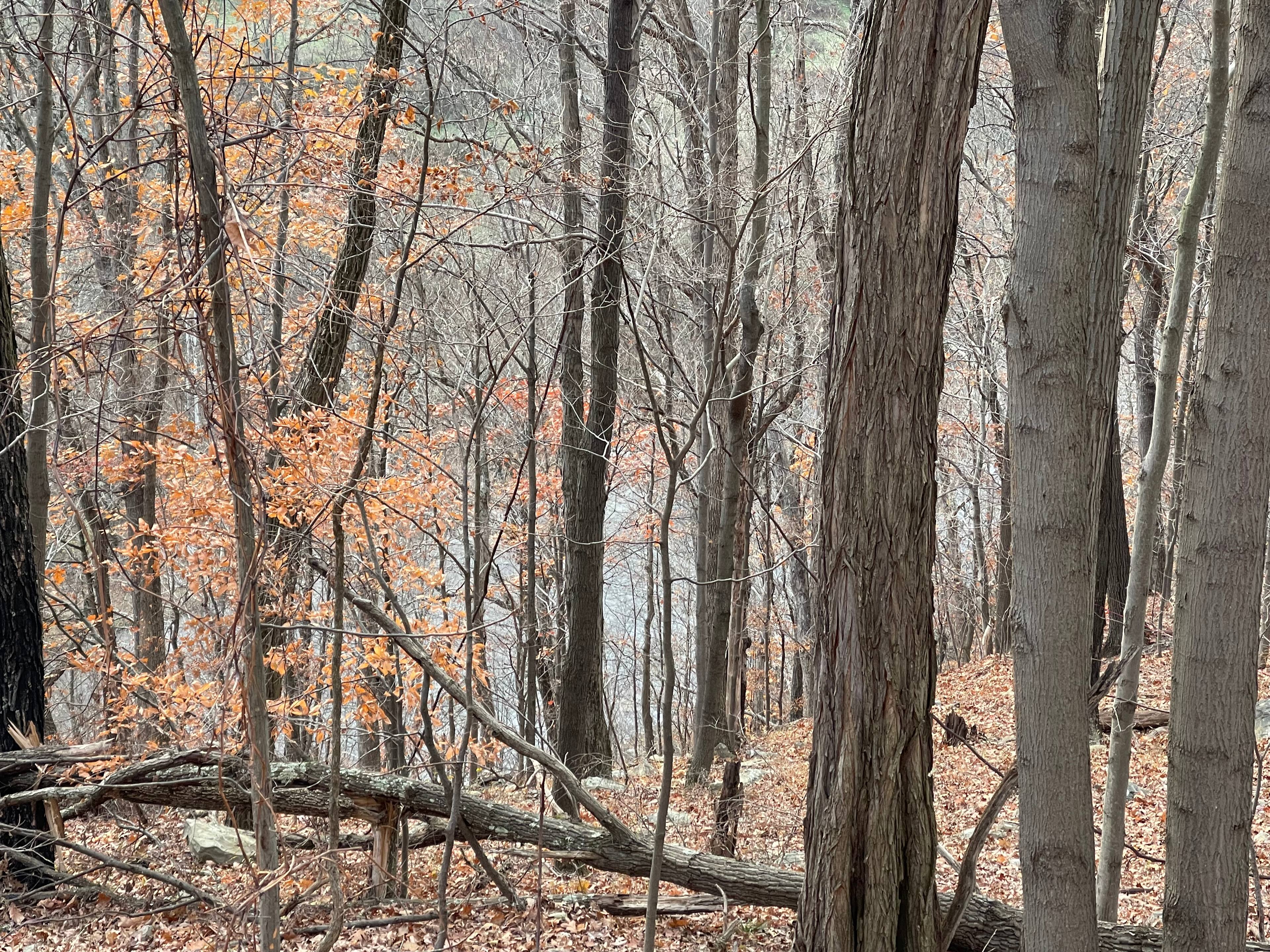 Barnum Cliffs Campground