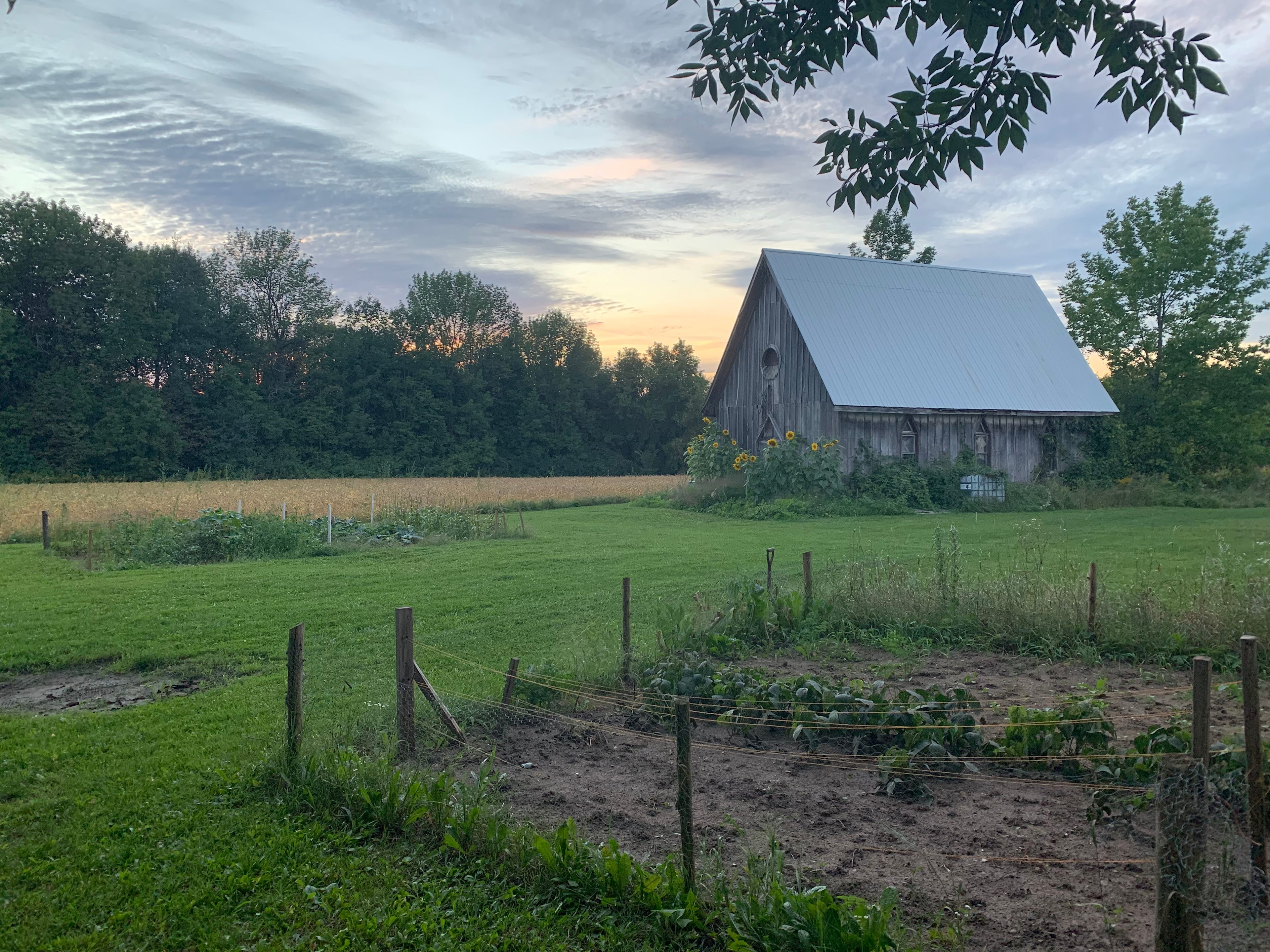 Beaver Ranch