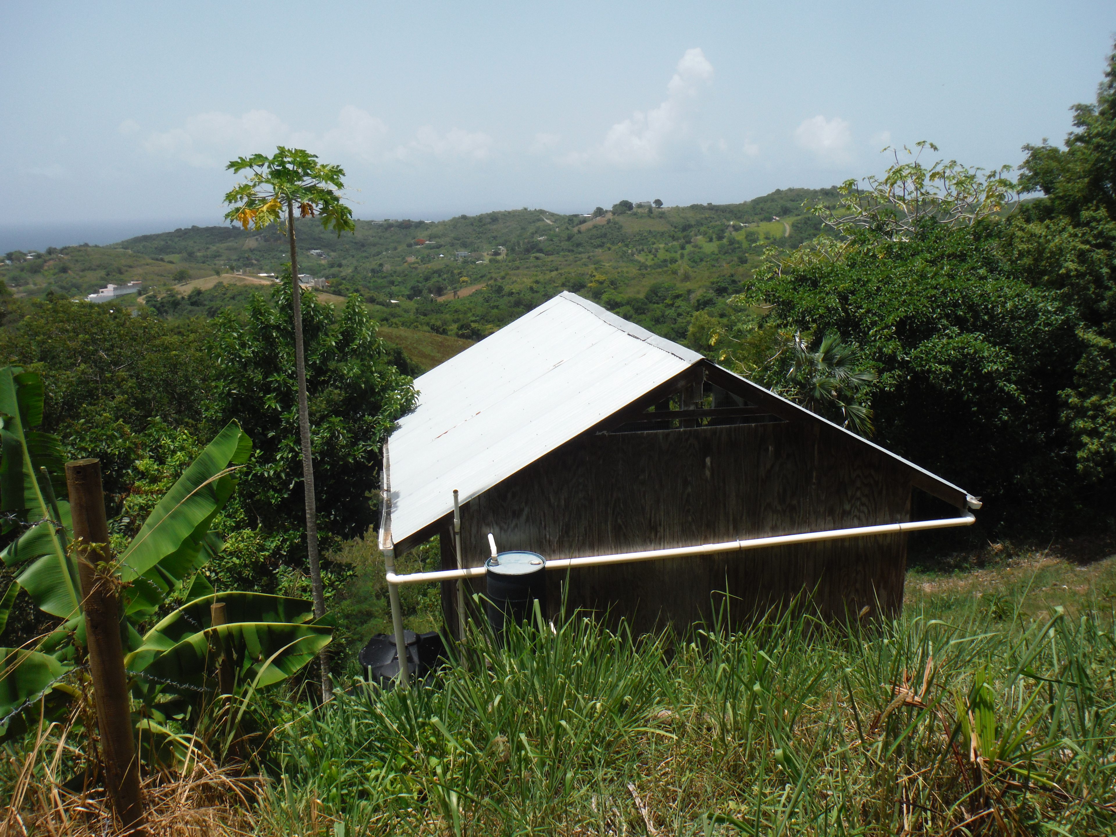 Casita Mística: Off-Grid Caribbean