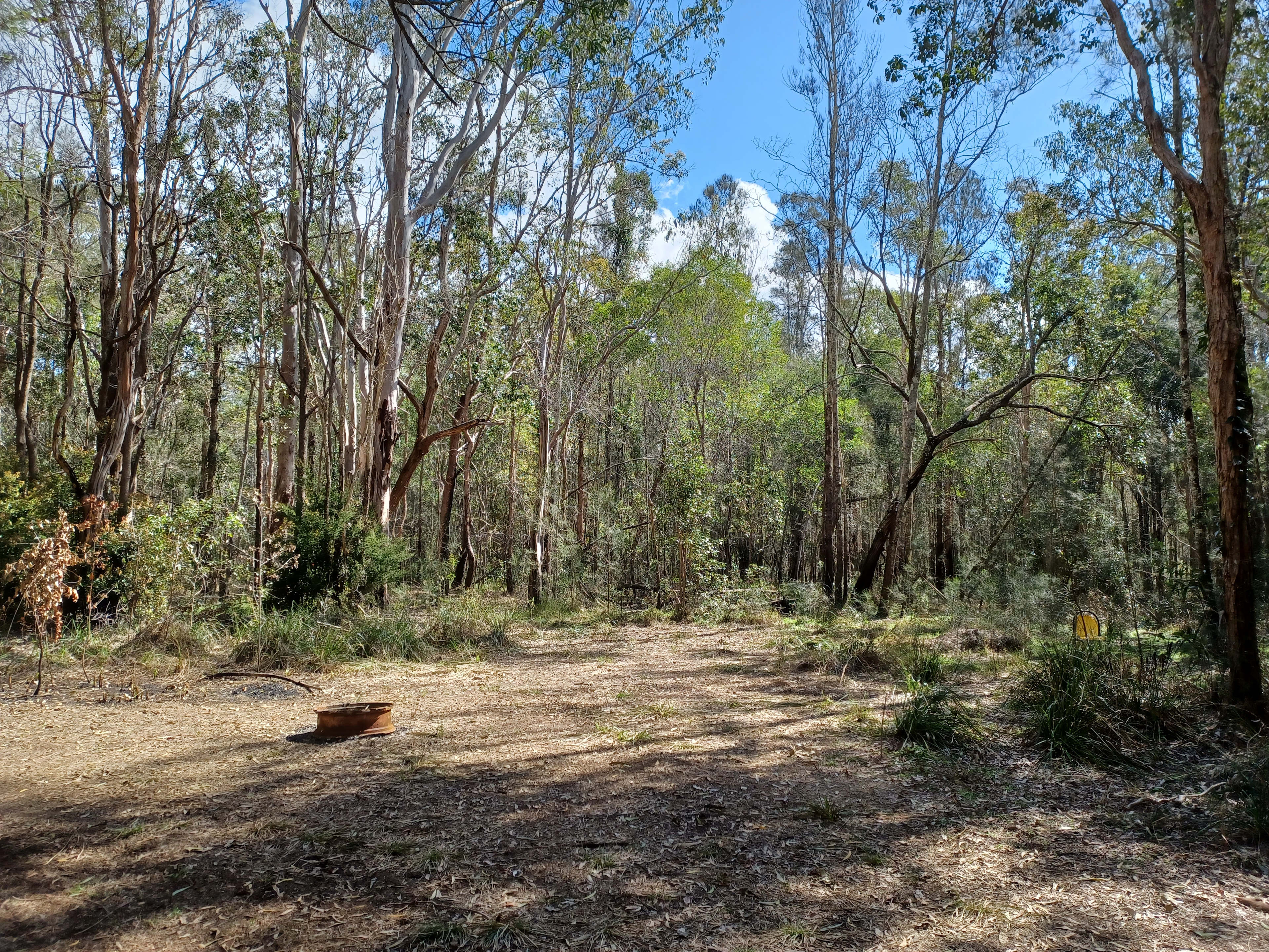 Main camp site