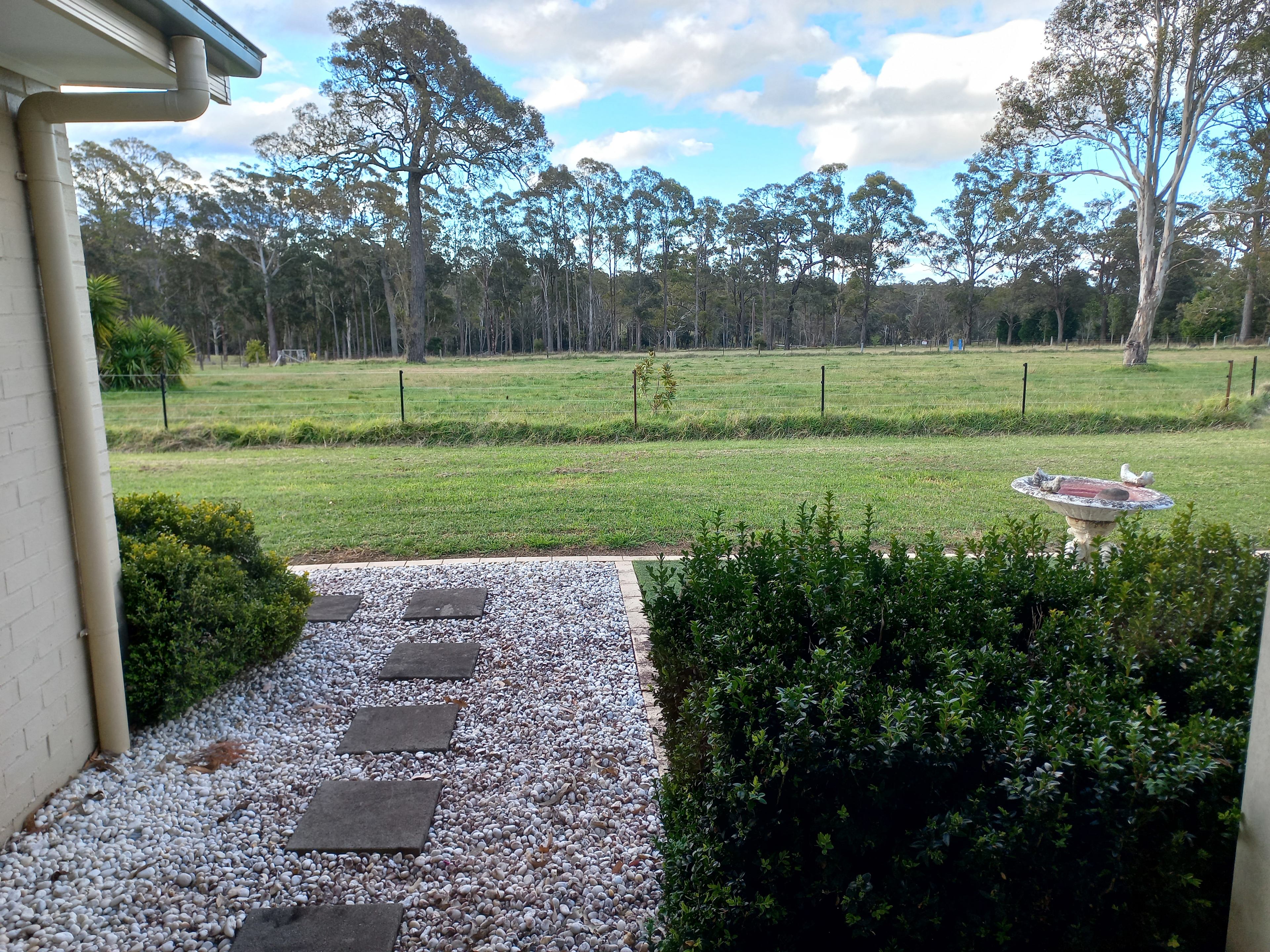 Melon Green at Oakdale