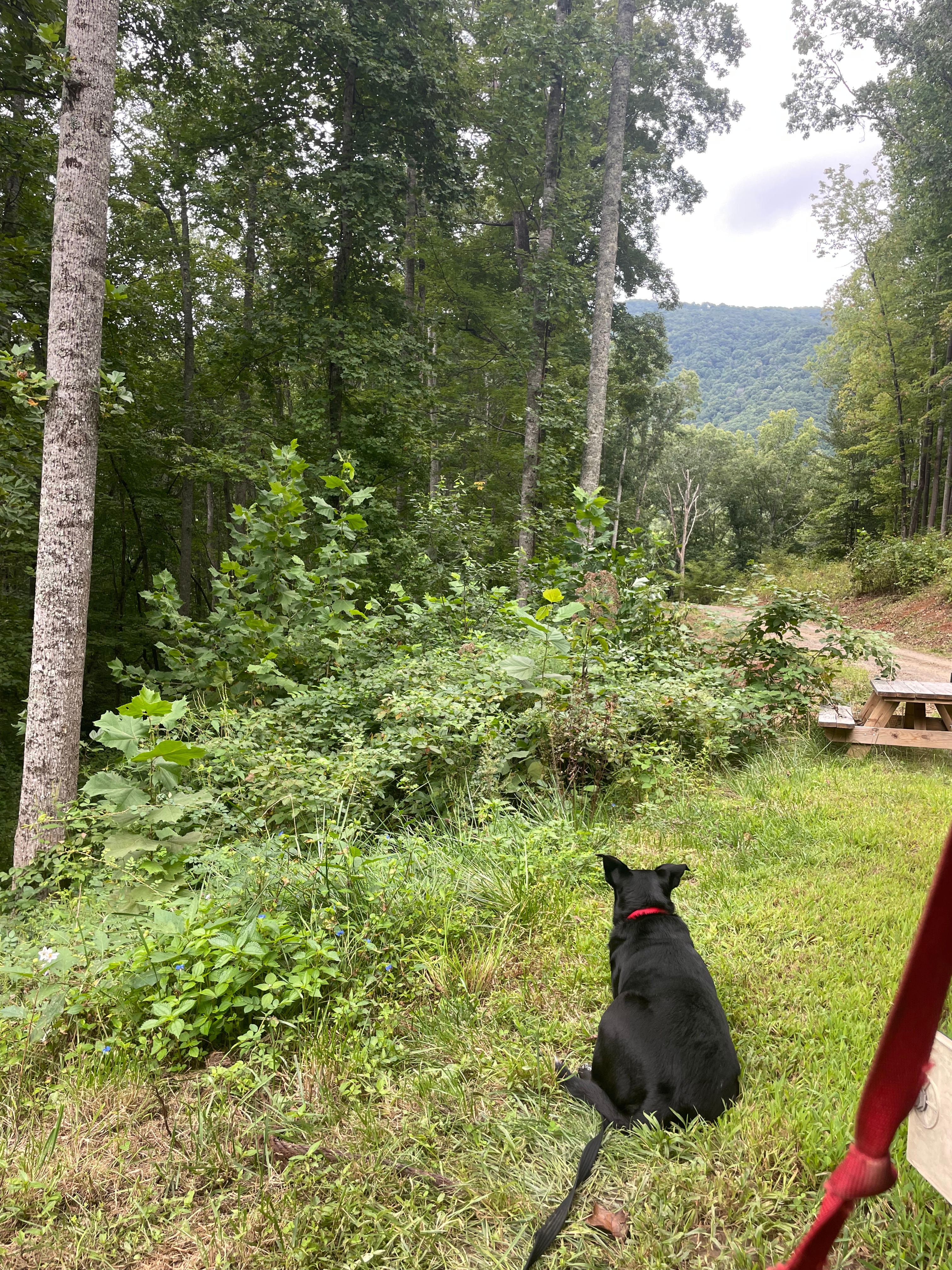 Exclusive Mountain Retreat Farm