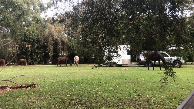 Dude Ranch Beachmere