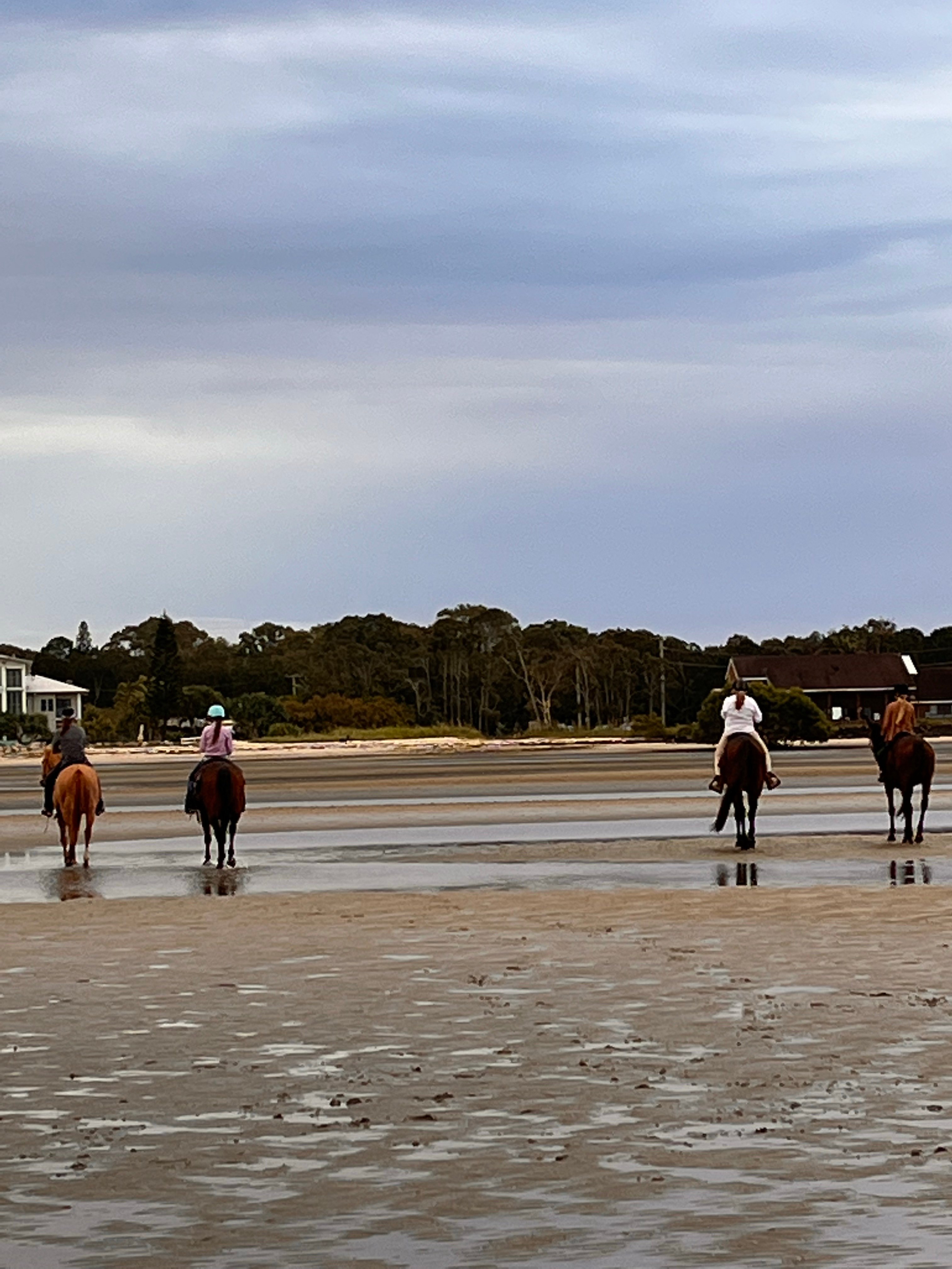 Dude Ranch Beachmere