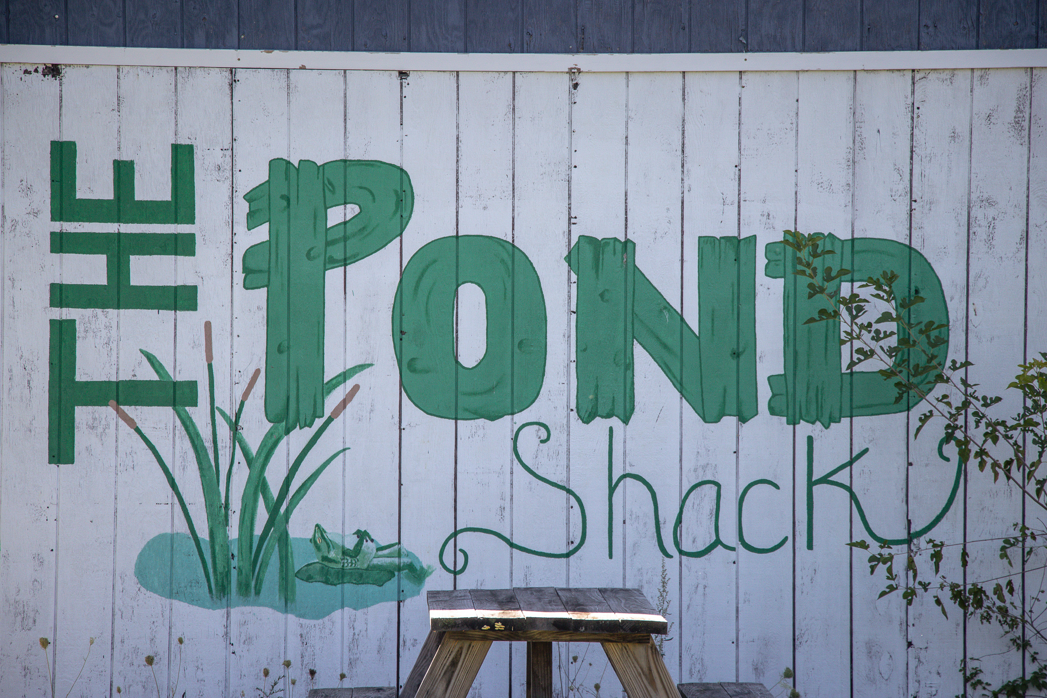 The Pond Shack has a picnic table outside for campers to use