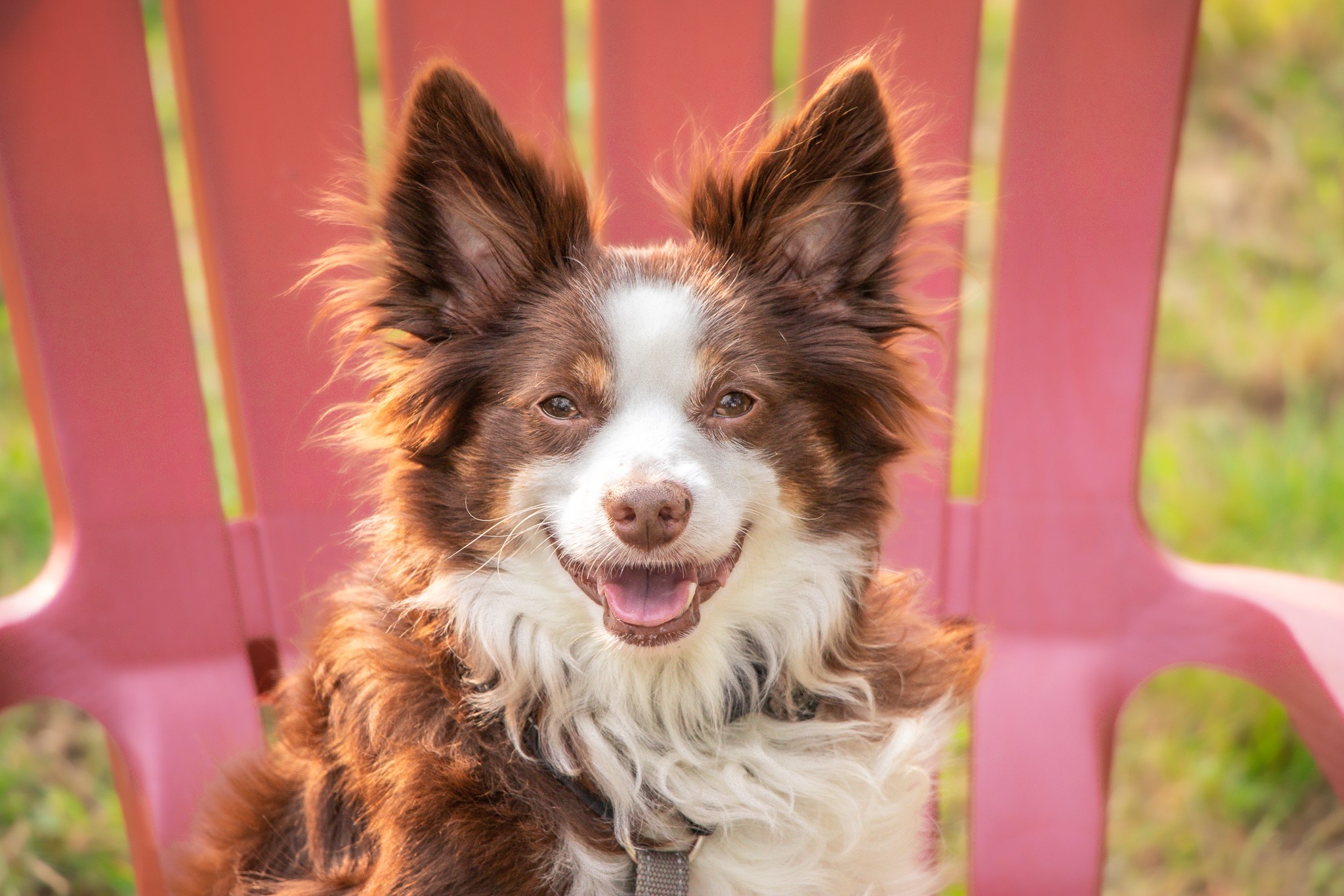 The Lovespun Homestead