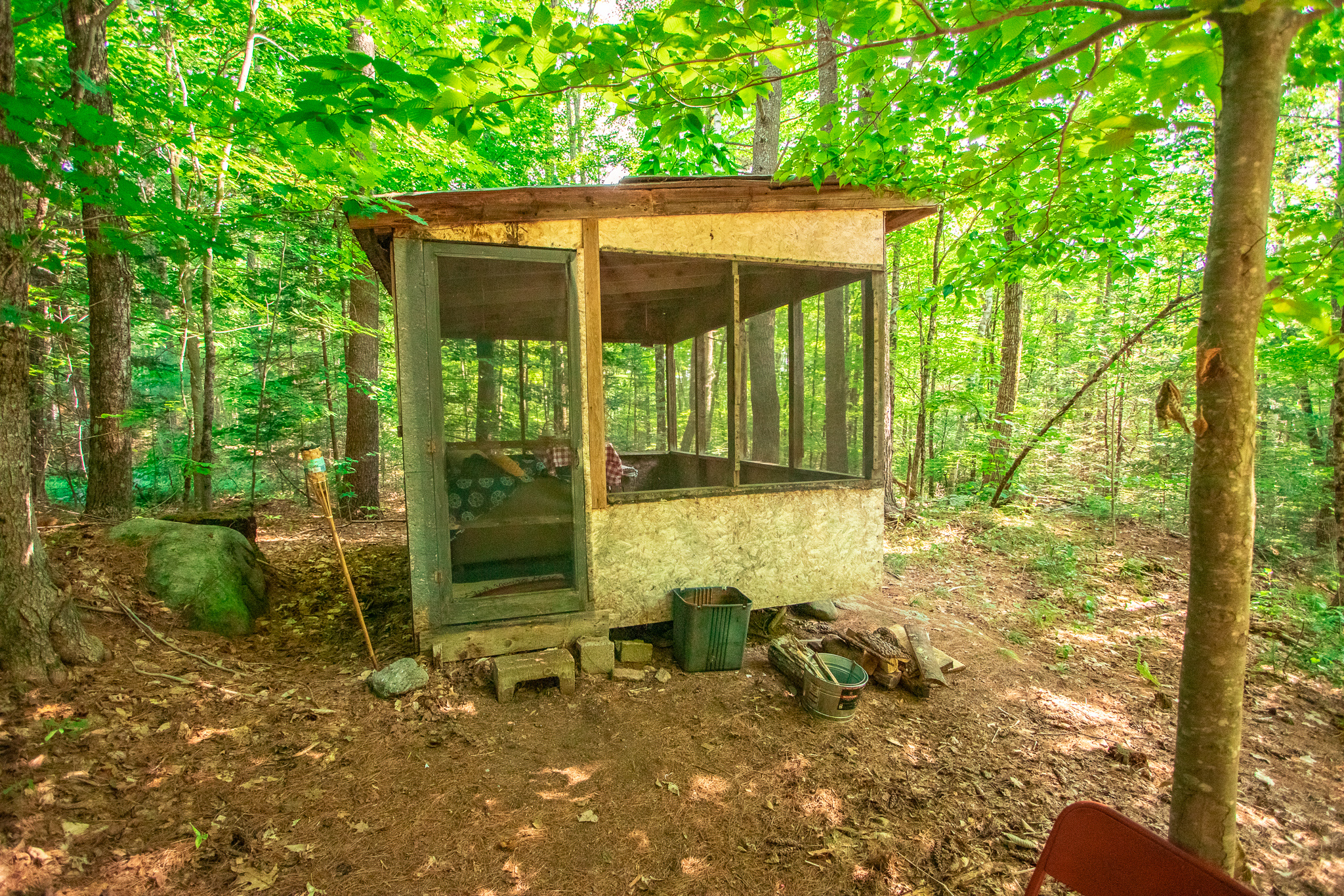 Woods, Pasture and Lots of Sun