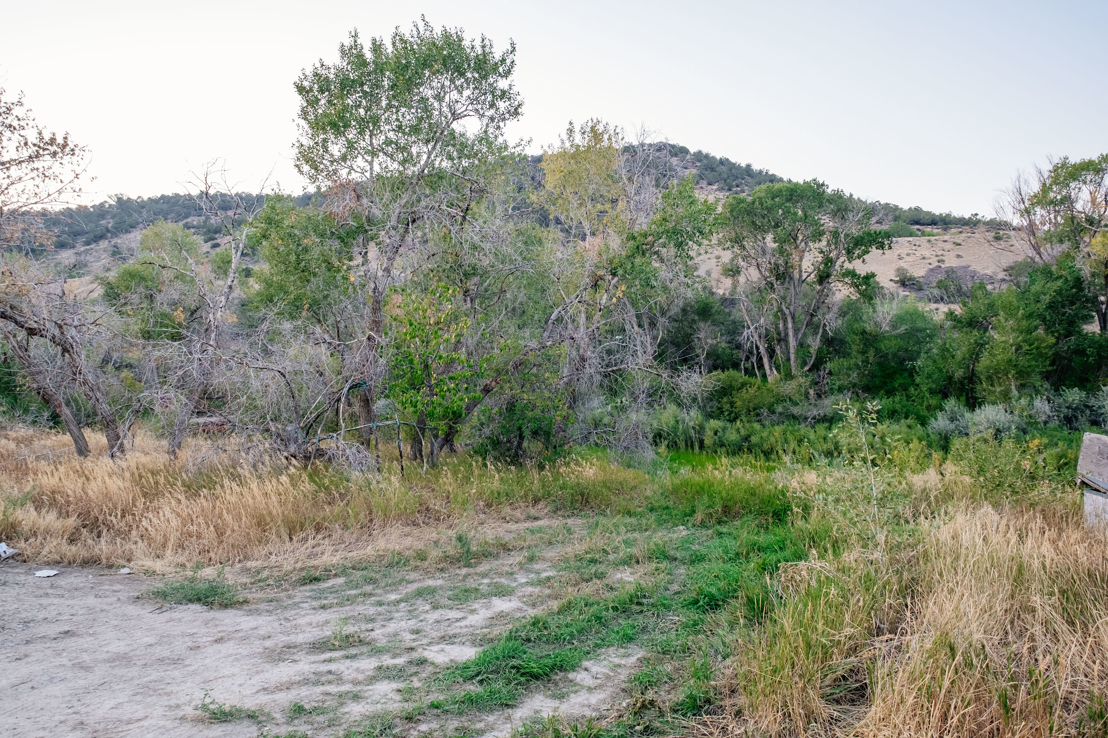 Riverside spot 2