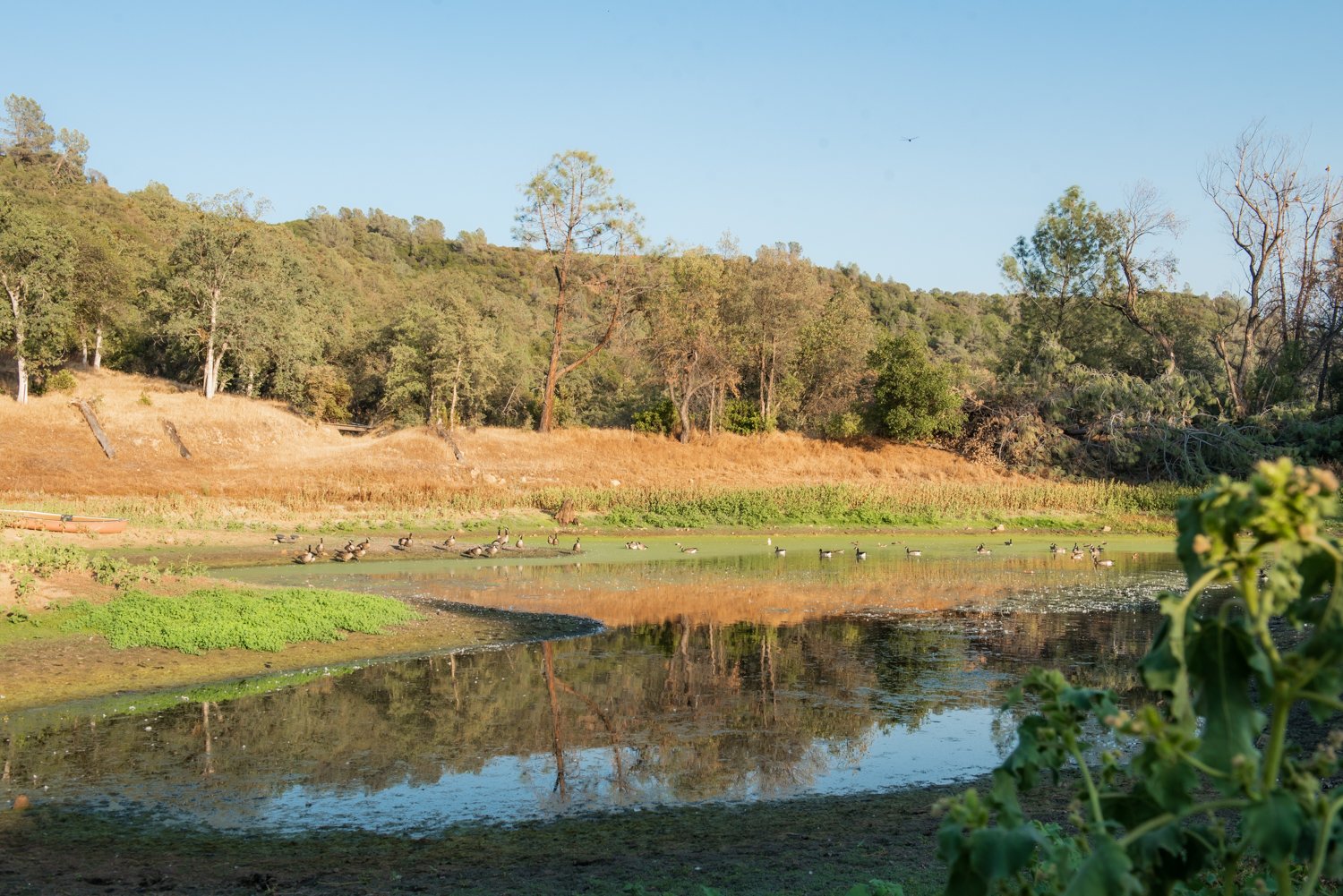 Starry Views on Anahata Lake