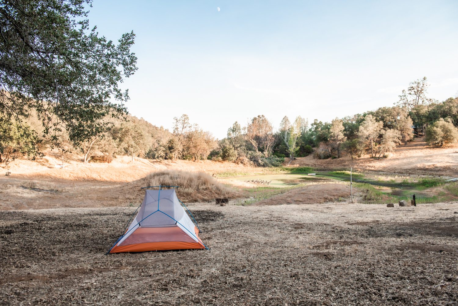 Starry Views on Anahata Lake