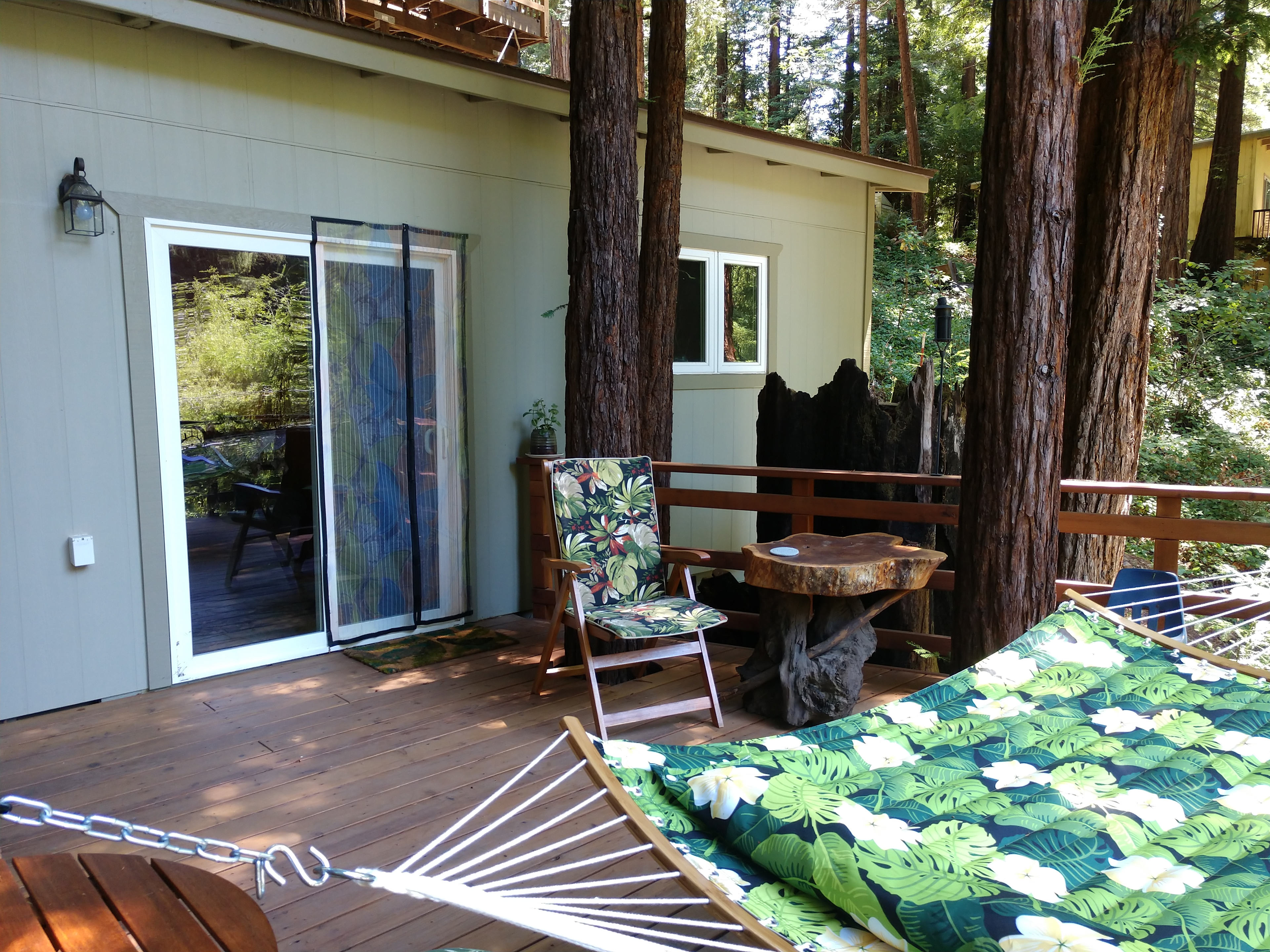 Creek View Tree House
