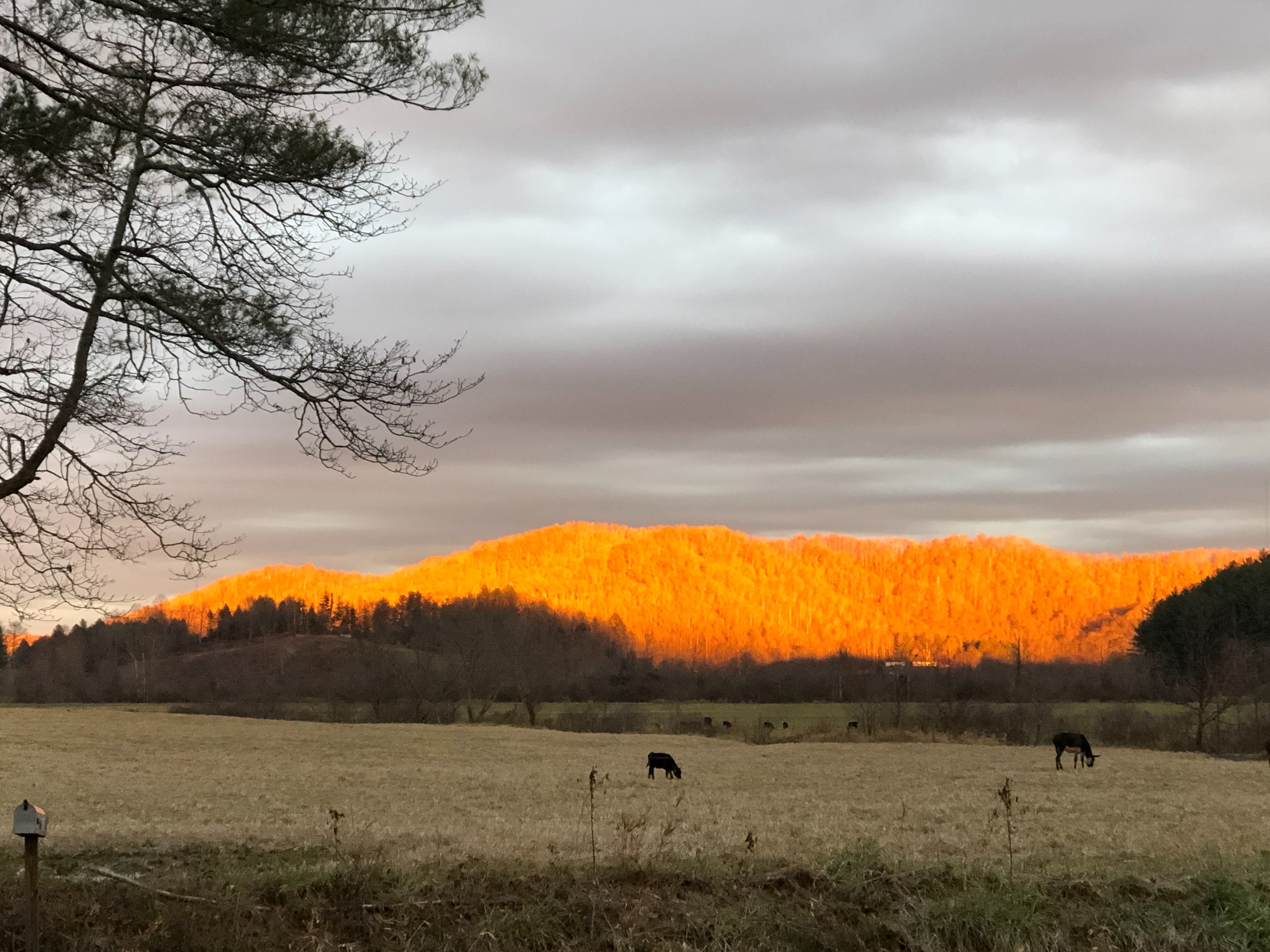 Bell’s Scenic RV Pasture
