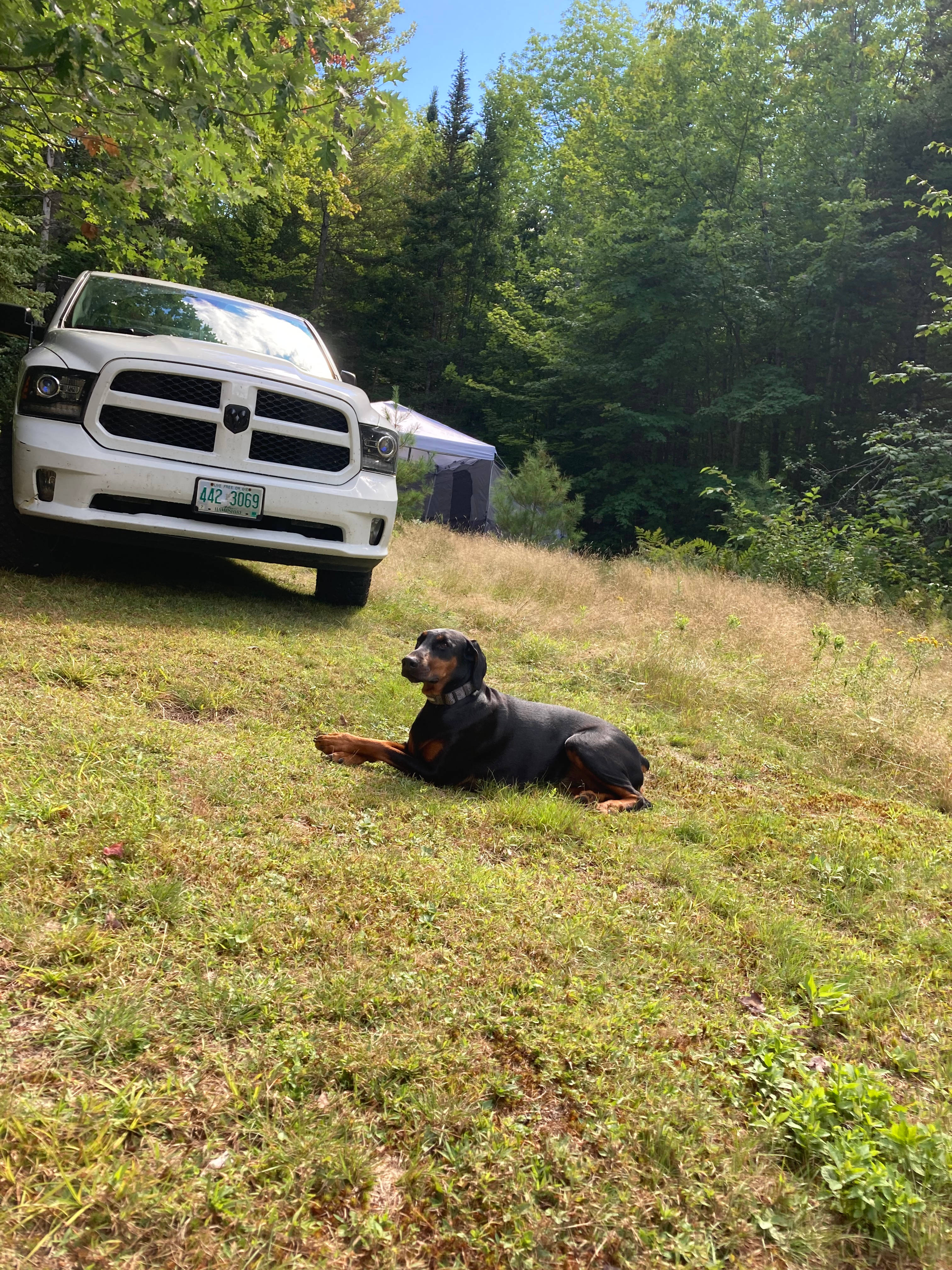 Wilbur Mountain Cabin, Bethel Maine