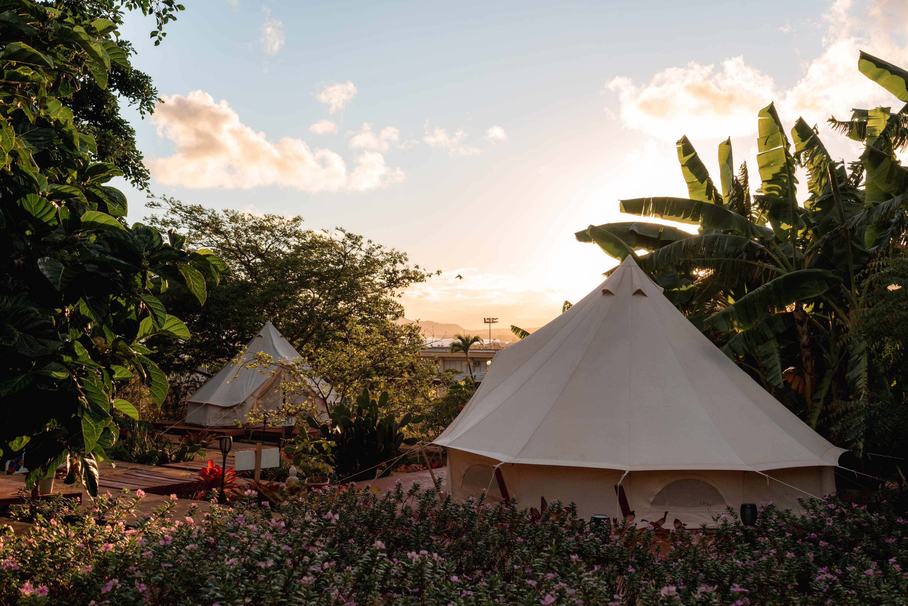 Sun Farm Hawaii @ Koko Head