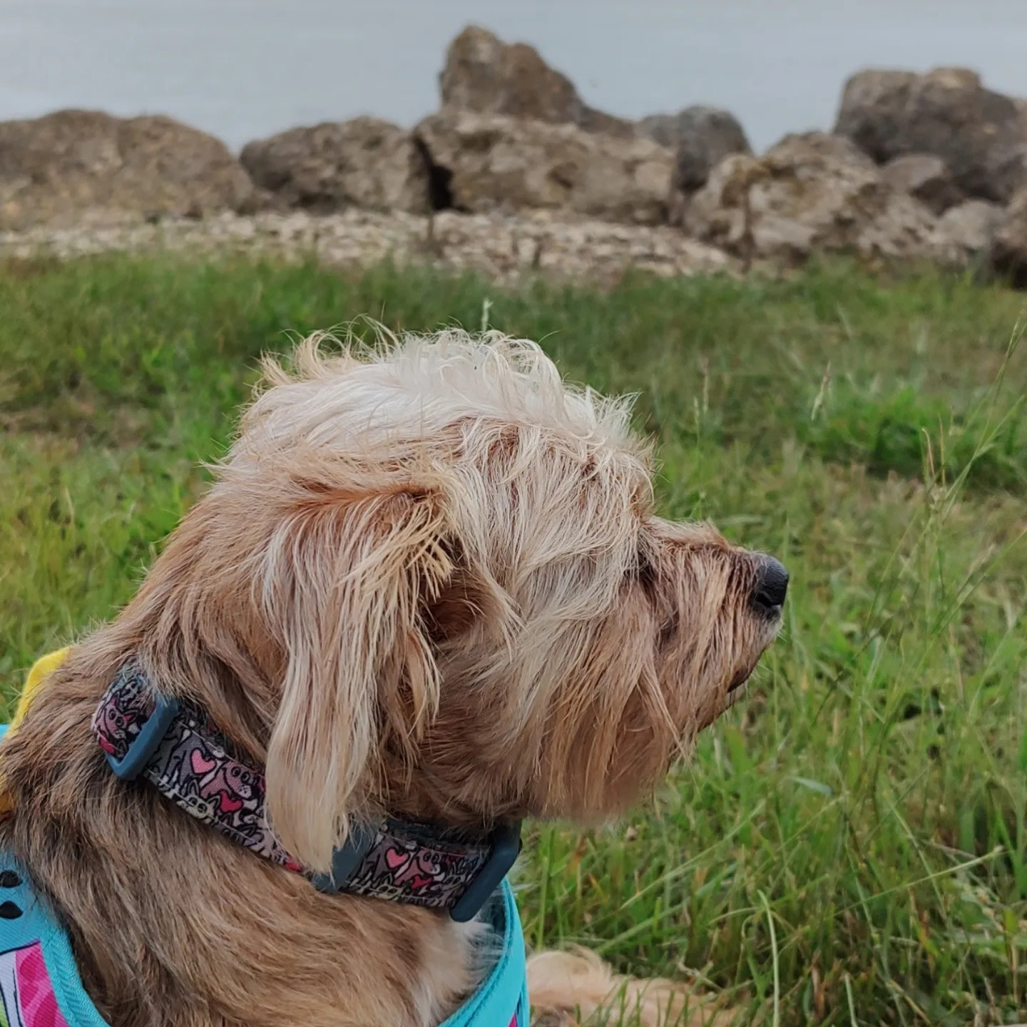 1860's Botanical Homestead