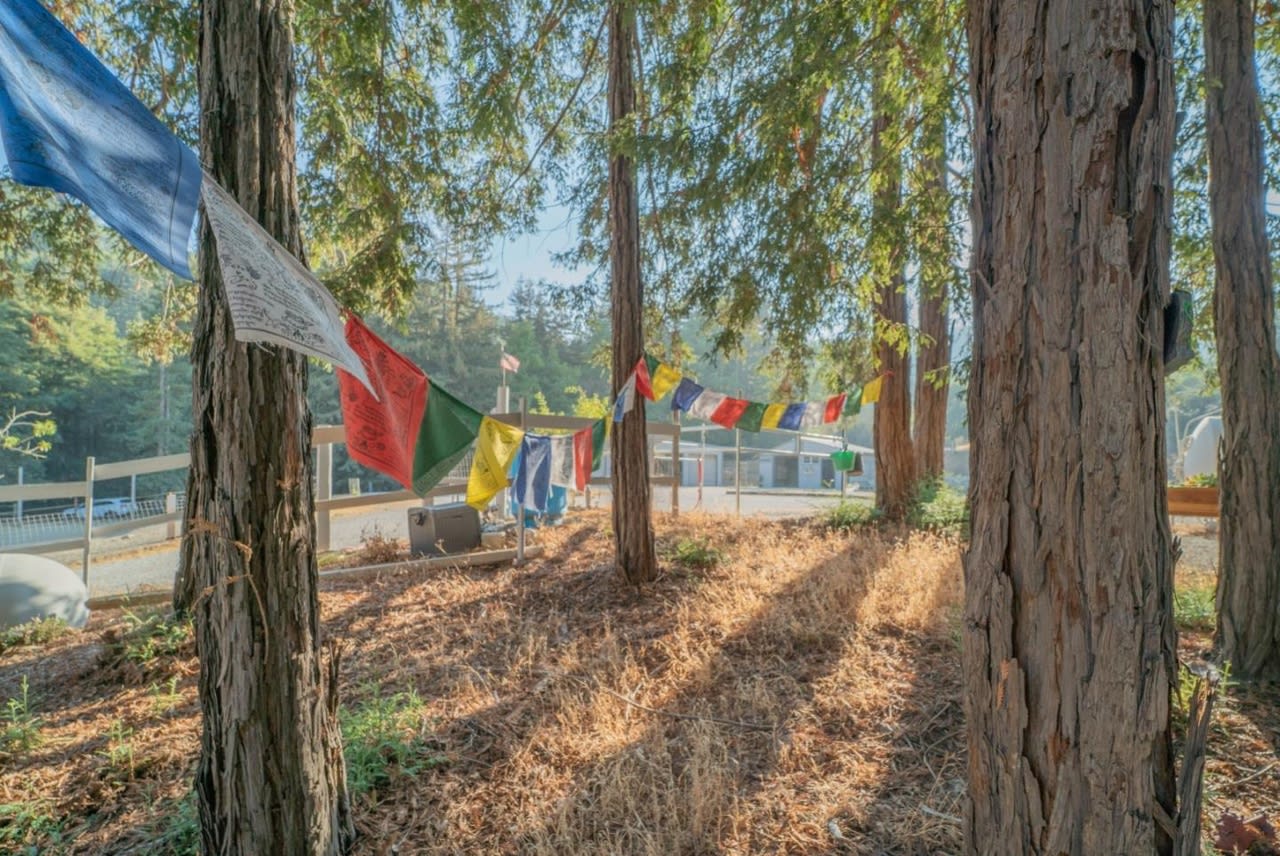 Redwood Ranch with Sweeping View