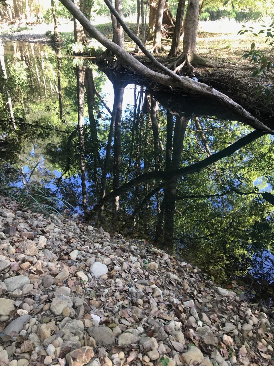 Crystal Creek Springs