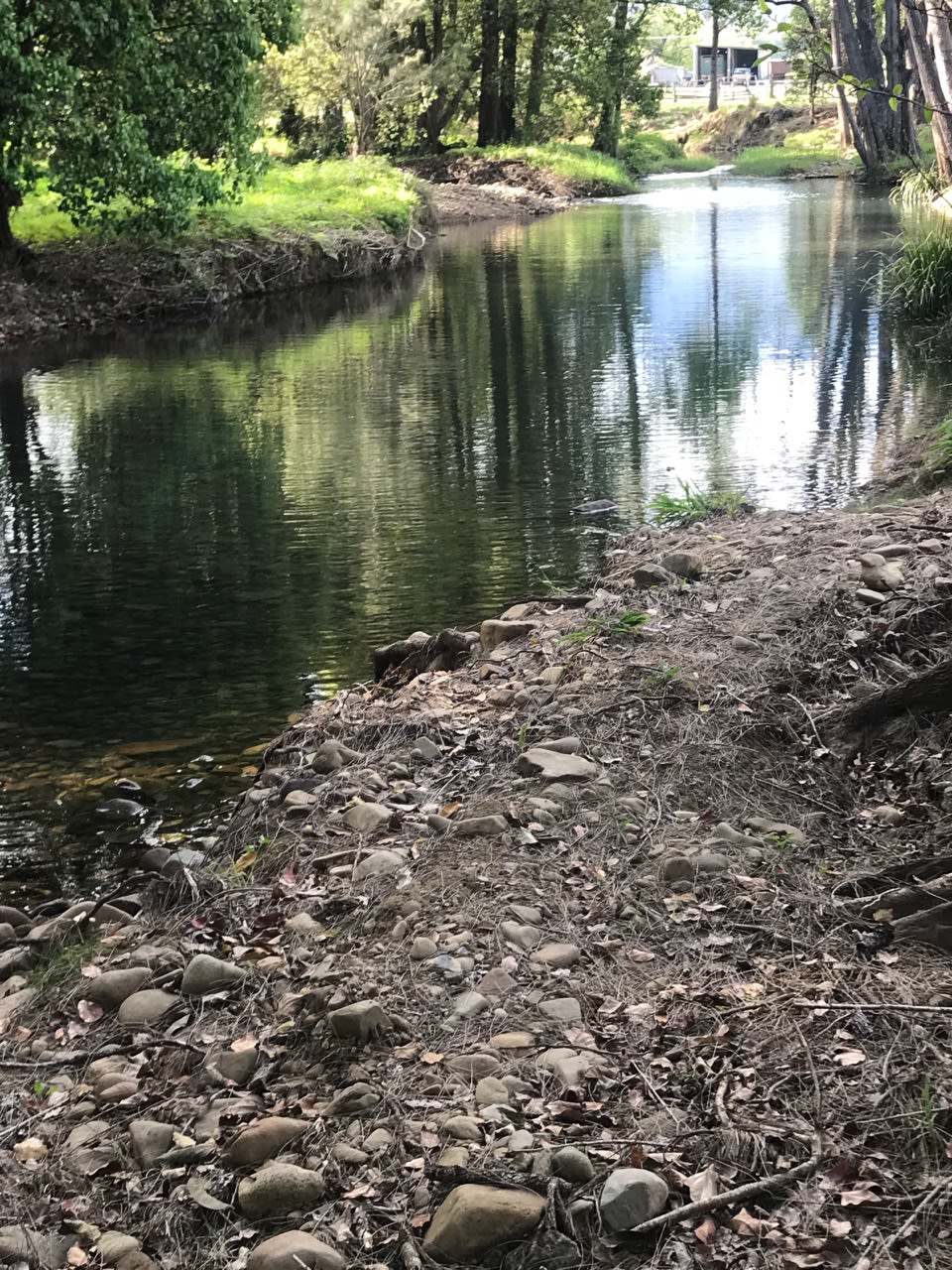 Crystal Creek Springs