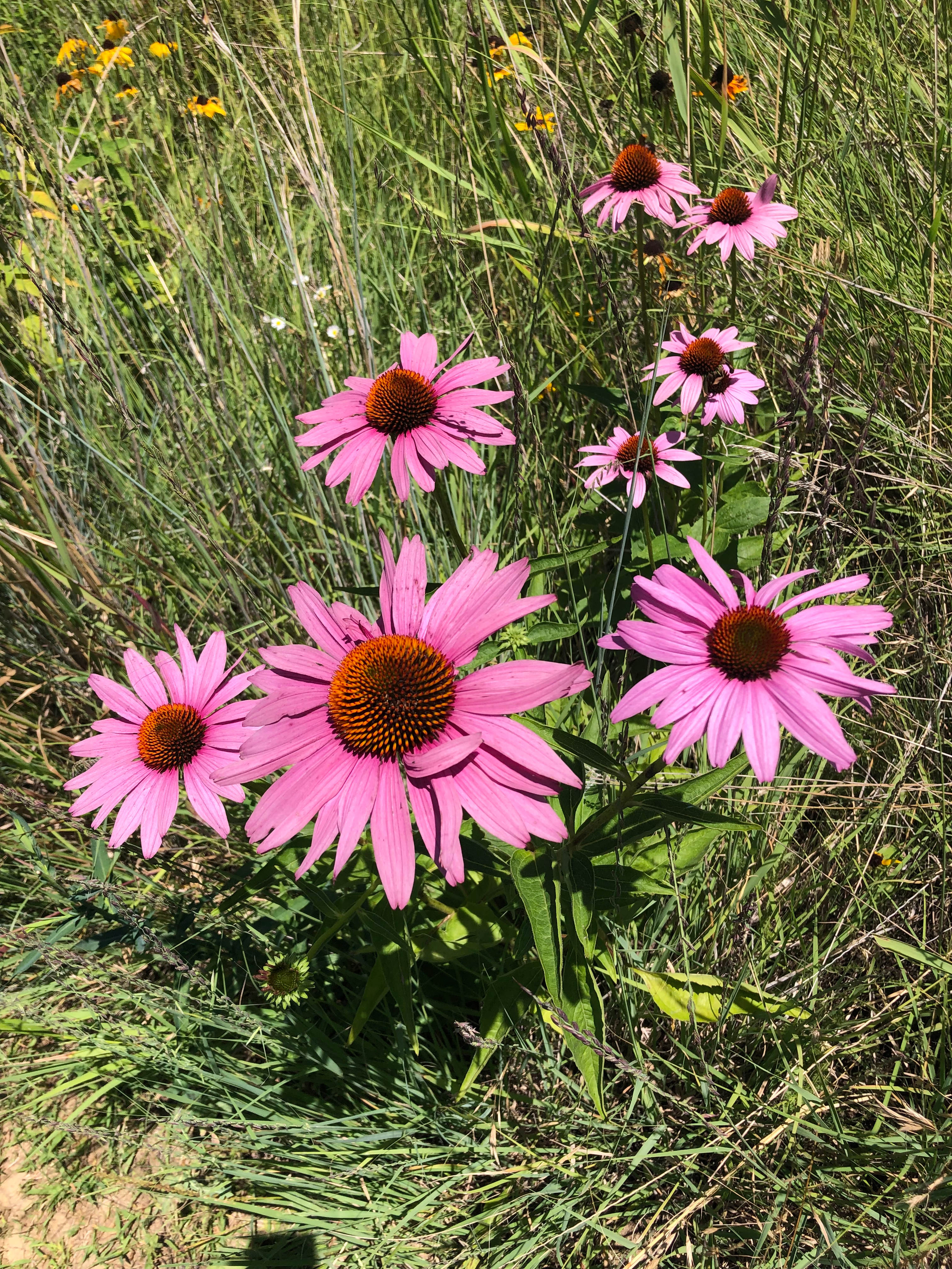 The Point at Lake Red Rock