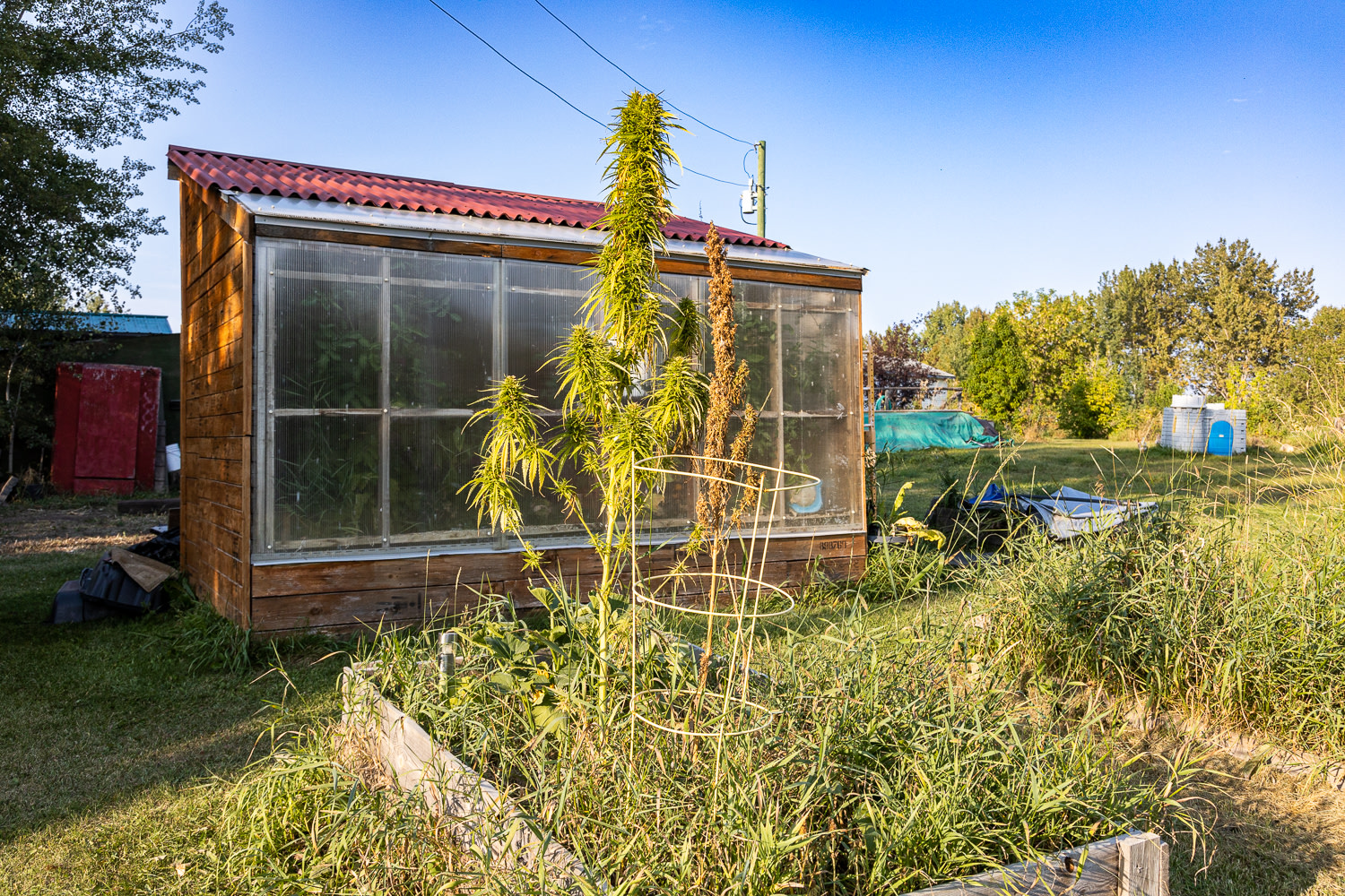 This is a very natural setting to relax in